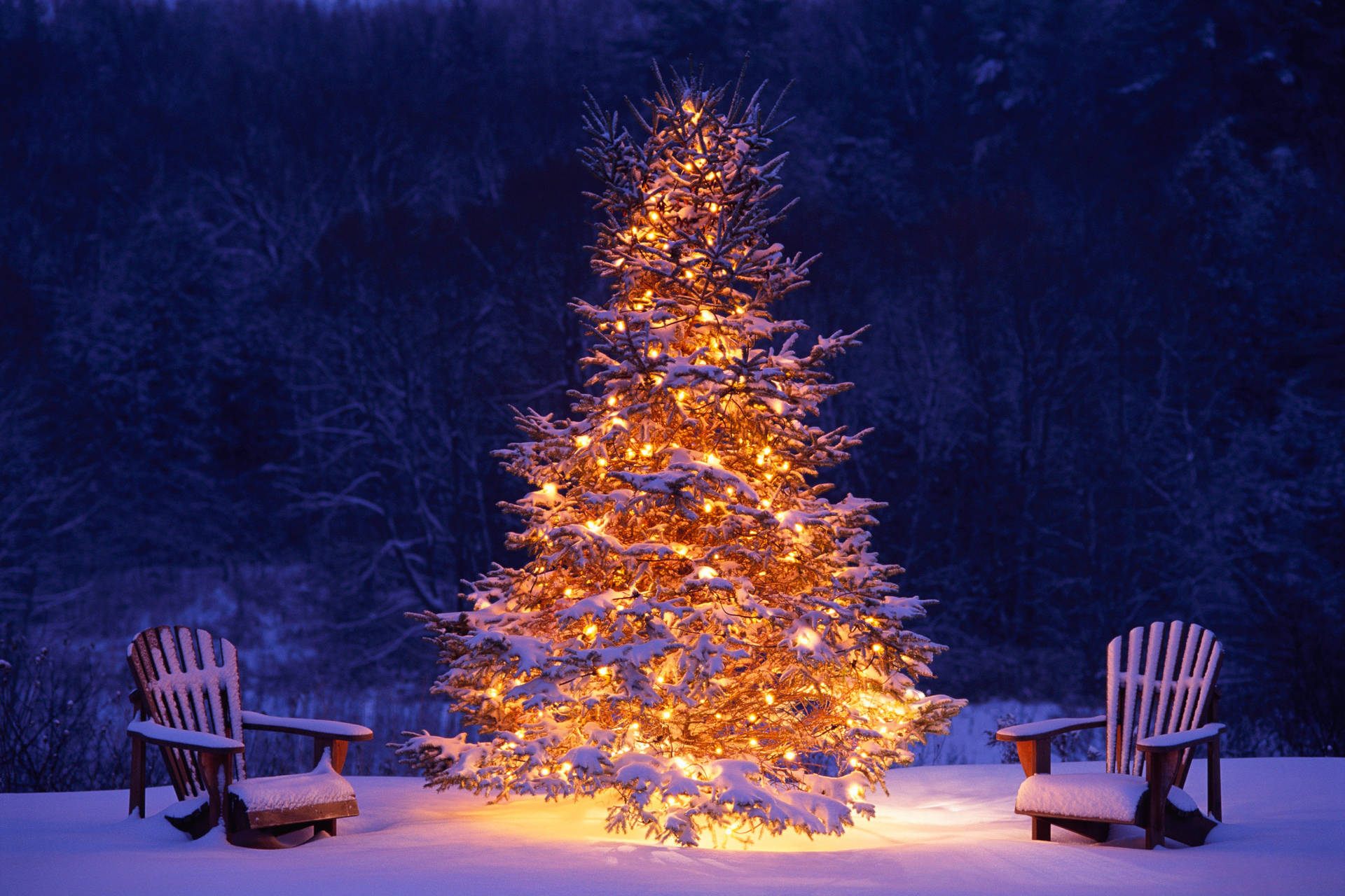 Download Enjoy the Holiday Season by Admiring the Beautiful Gold Snowy Christmas Tree Wallpaper