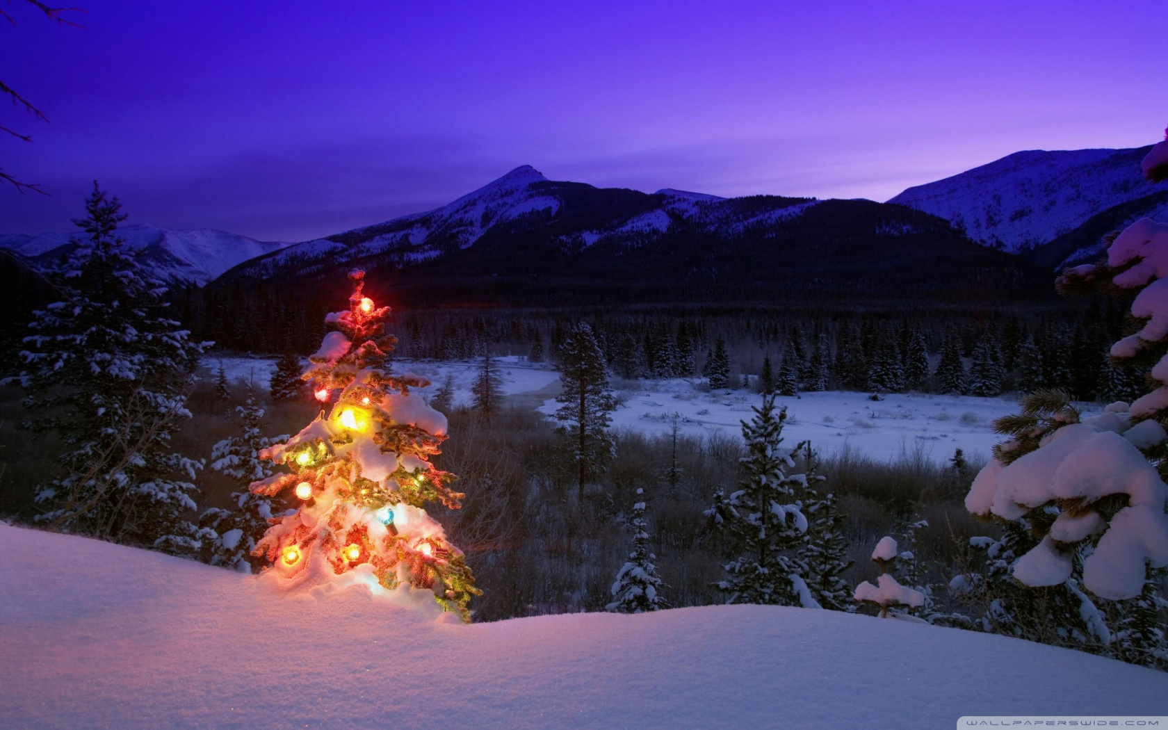 Christmas Tree With Lights Outdoors In The Mountains 4K UHD Wallpaper for UltraHD Desktop and TV, Widescreen and UltraWide Display, Smartphone and Tablet Devices
