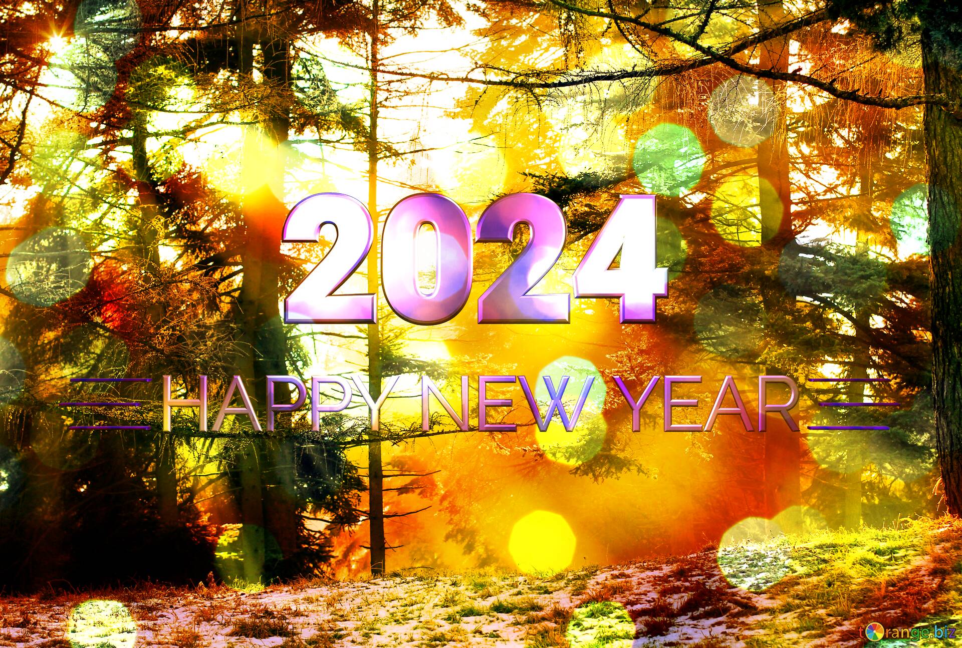 sun shining through trees forest winters tree happy new year 2024. №212230