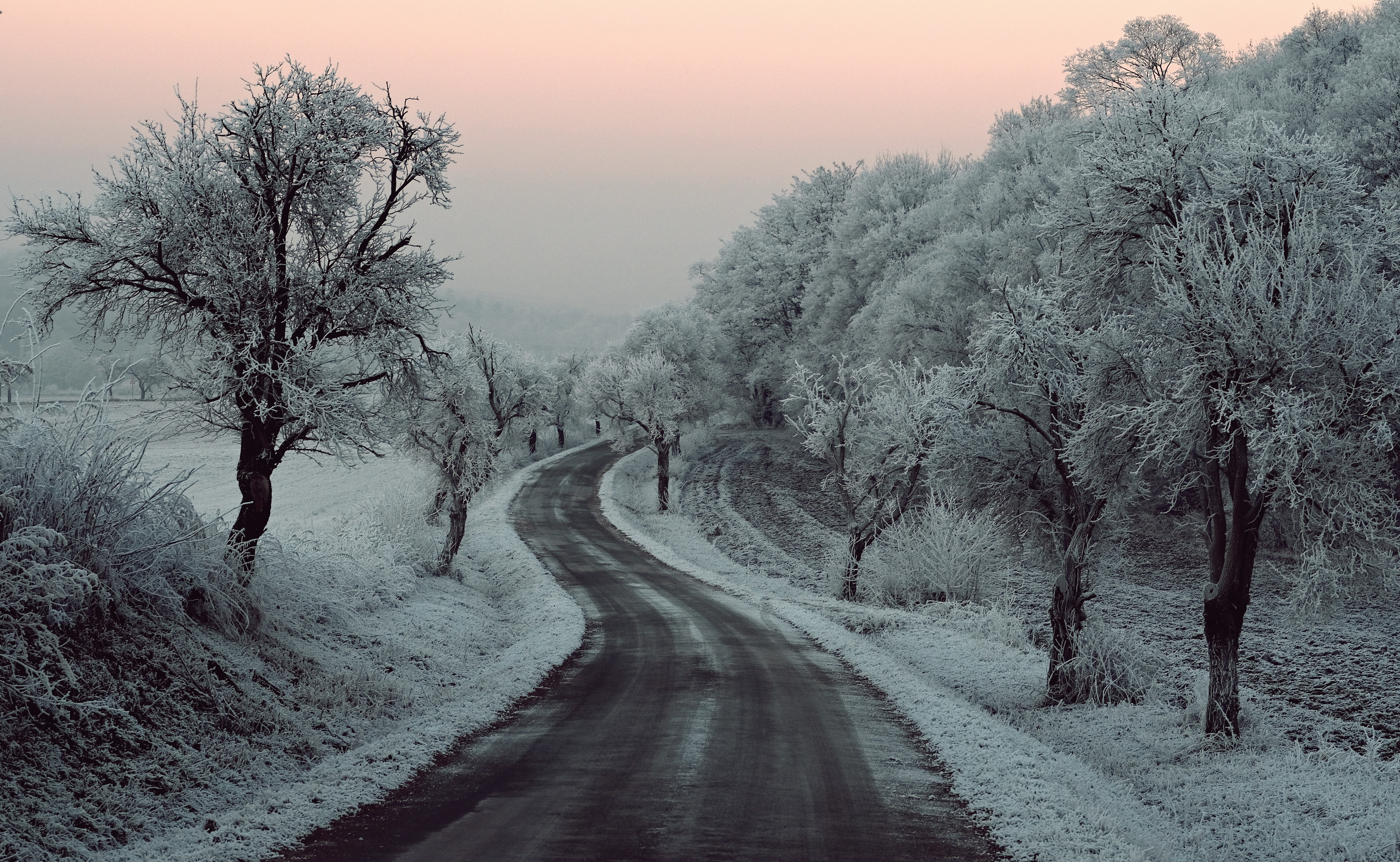 Winter Forest Road Ultra HD Wallpaper