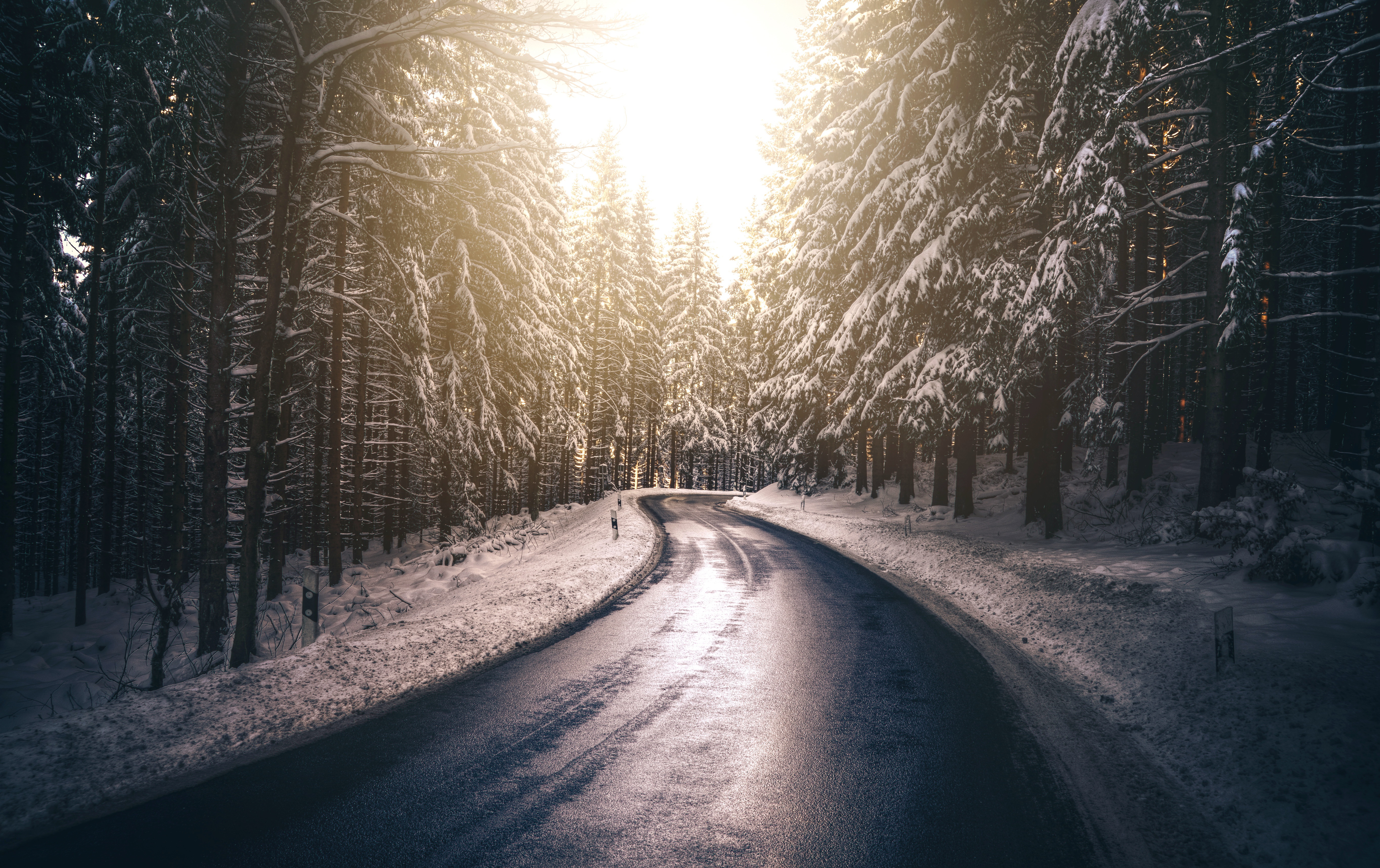 Winter Forest Road Ultra HD Wallpaper