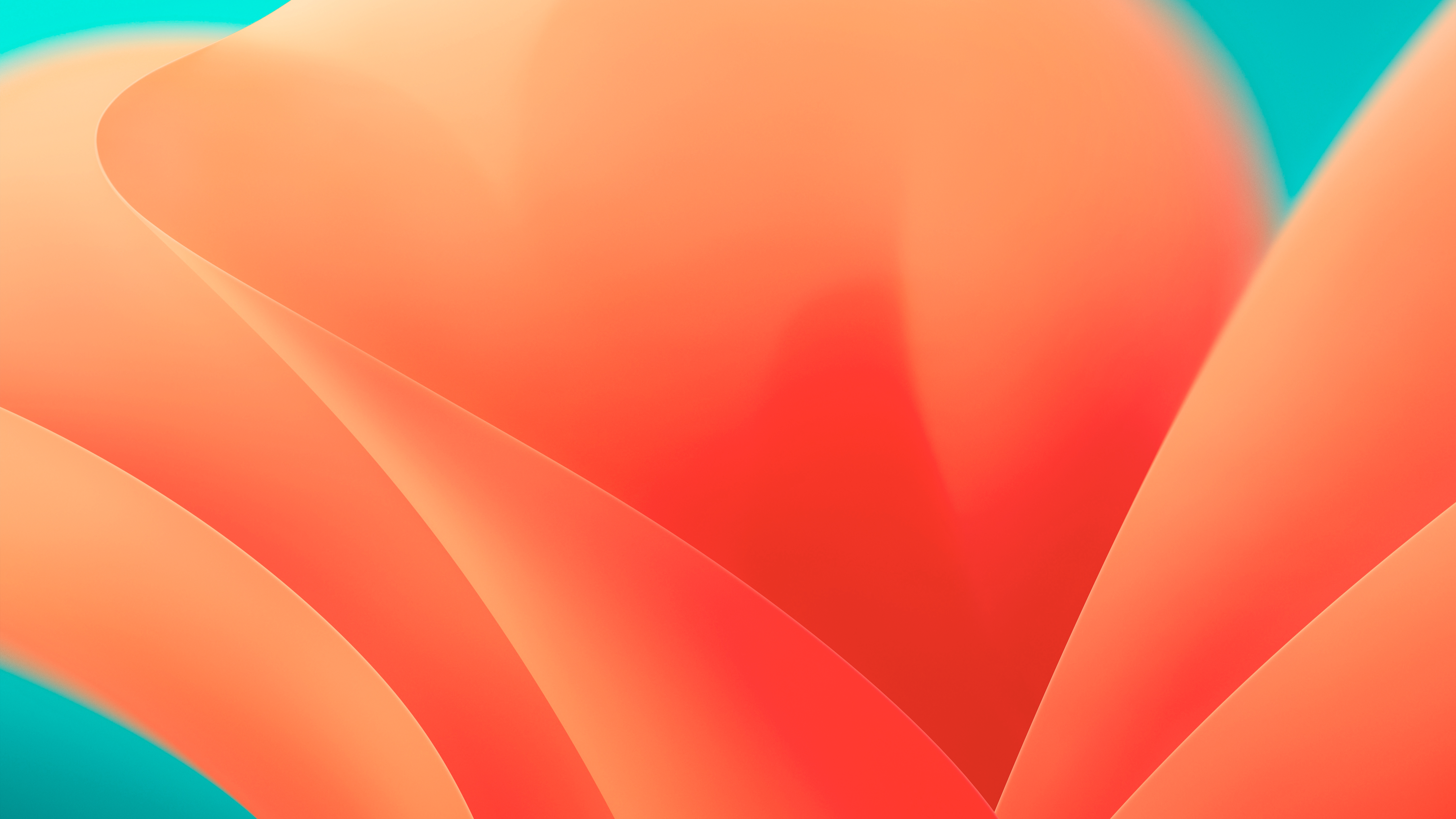 Mac Os Ventura Orange 8k 8k HD 4k Wallpaper, Image, Background, Photo and Picture