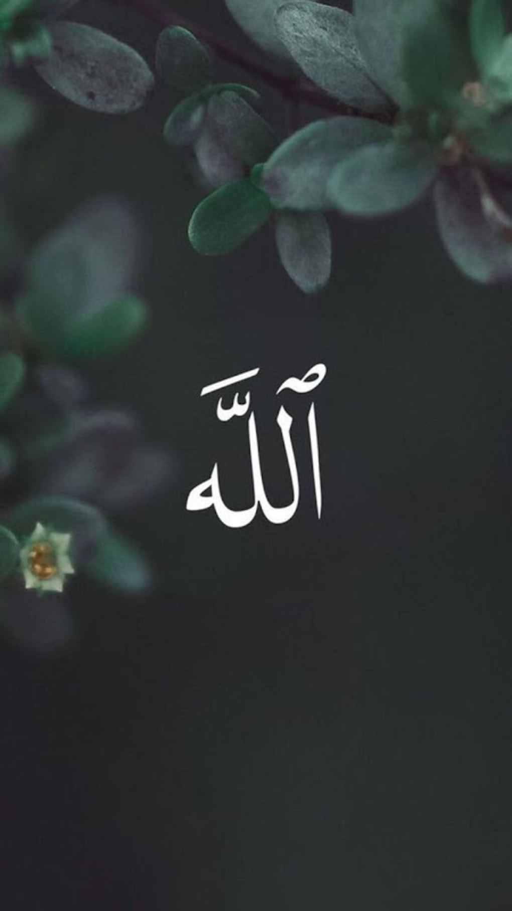 Allah Phone Wallpapers - Wallpaper Cave