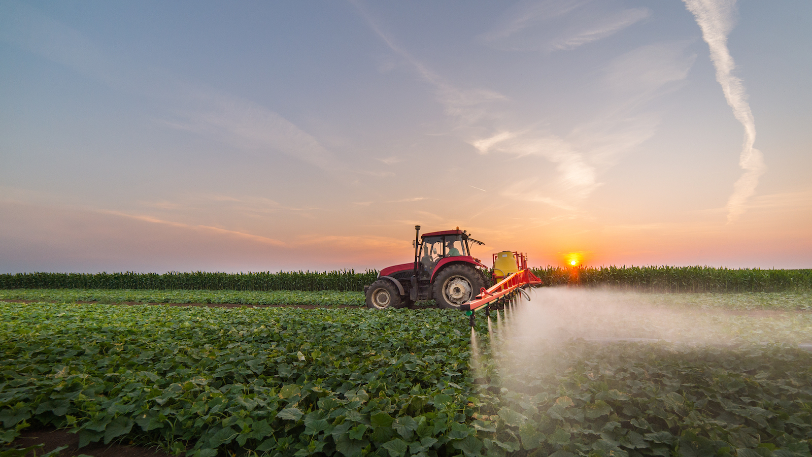 Tell the USGS: Restore the National Pesticide Use Maps database