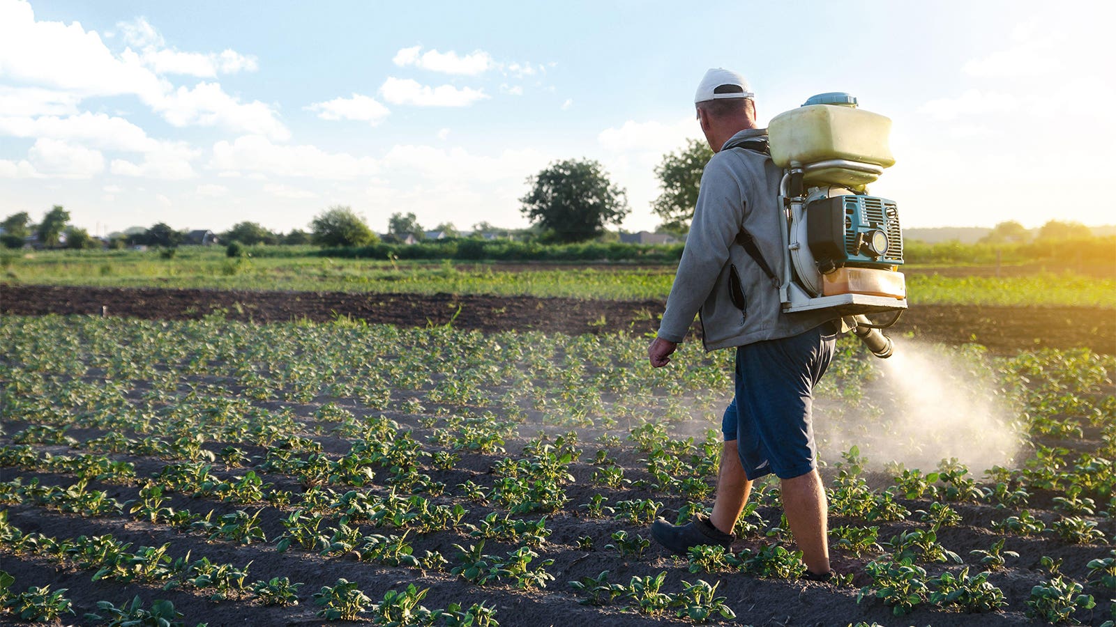 On The Job Pesticide Exposure Increases Risk Of COPD