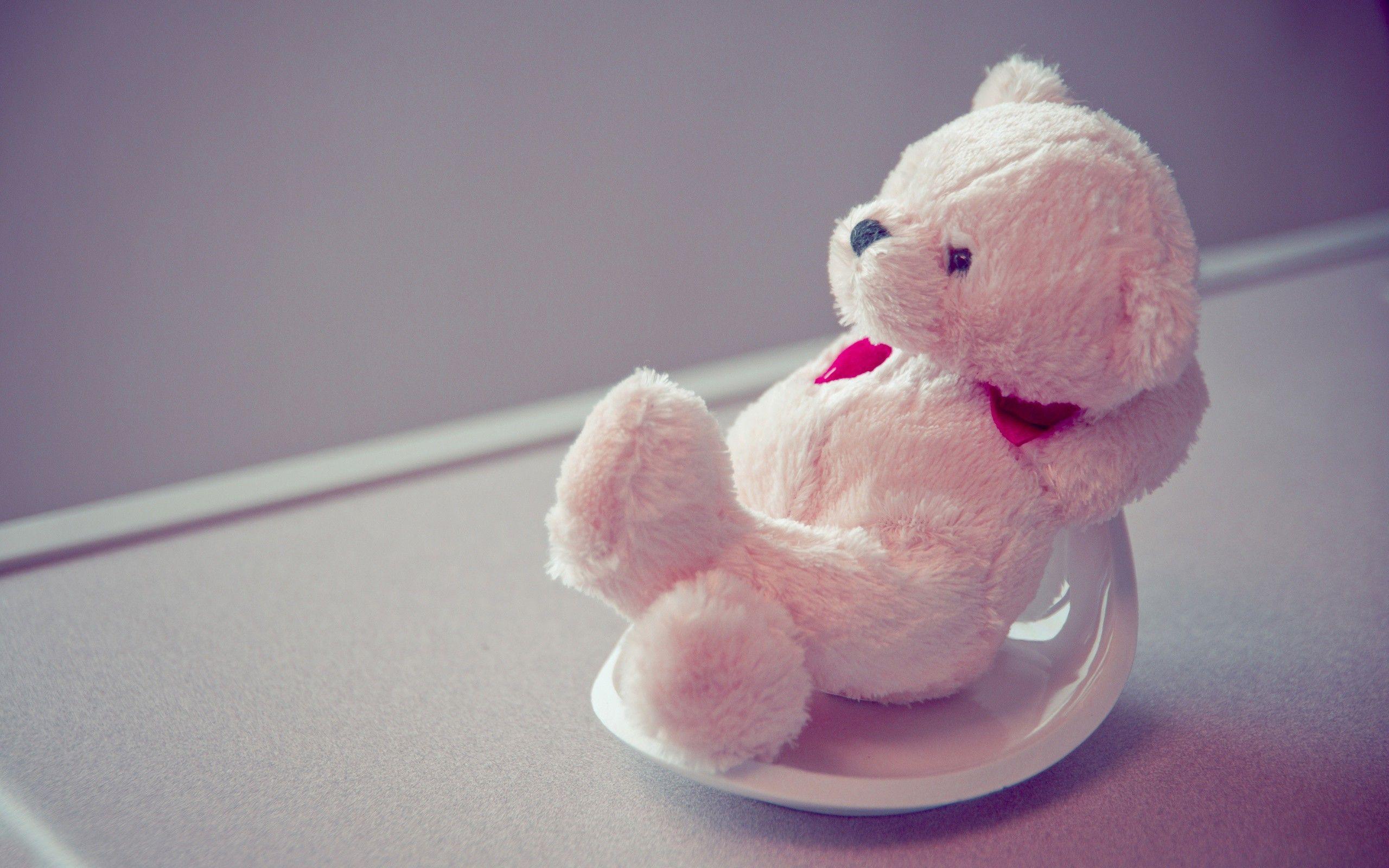 Teddy Bear HD Wallpaper