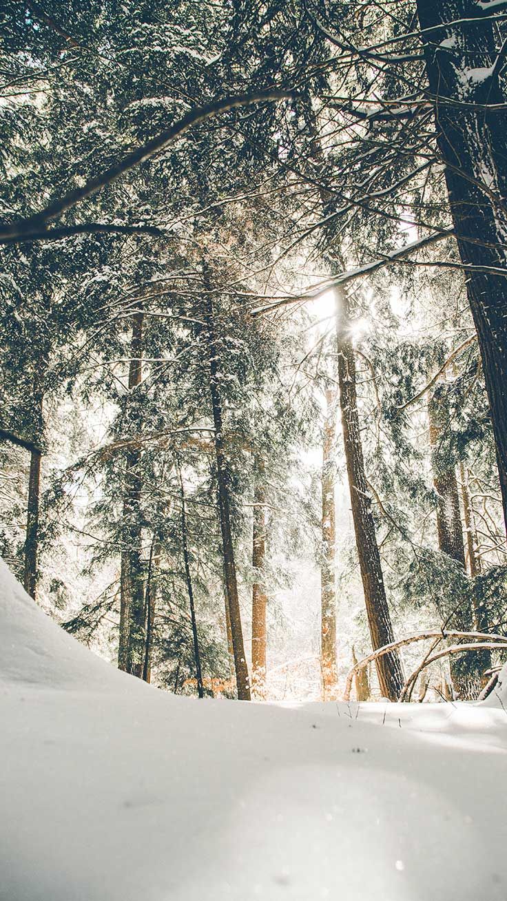 Wonderful Winter World iPhone X Wallpaper. Preppy Wallpaper. Winter picture, Free winter wallpaper, iPhone wallpaper winter