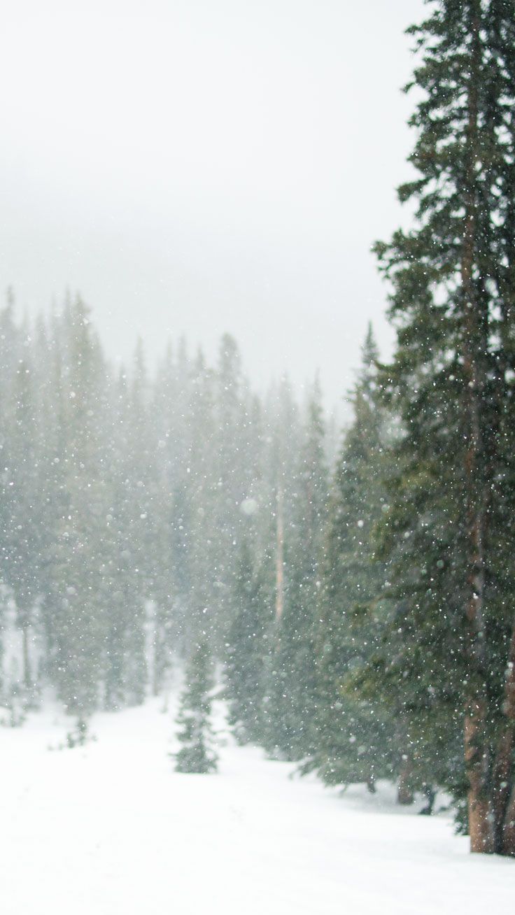 Adventurous Forest & Mountain iPhone 7 Wallpaper. Preppy Wallpaper. iPhone 7 wallpaper, Preppy wallpaper, Christmas wallpaper