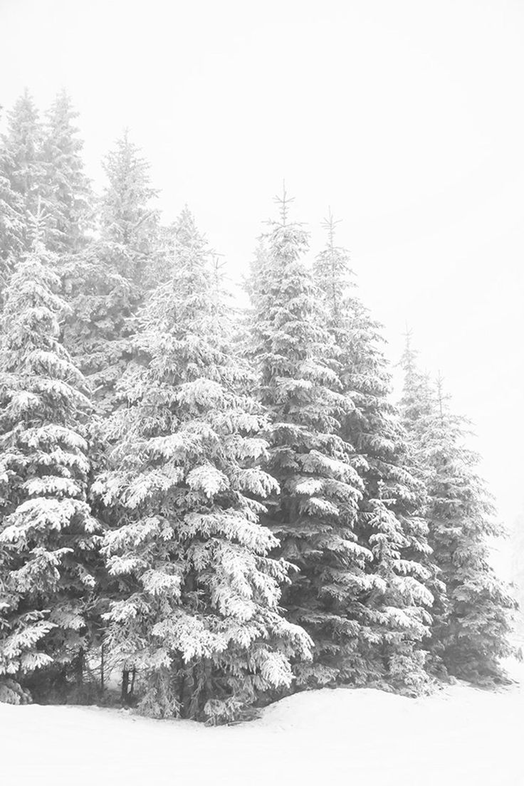Winter Snowy Forest Print Printable Christmas Prints. Winter wallpaper, Winter landscape, Winter scenery