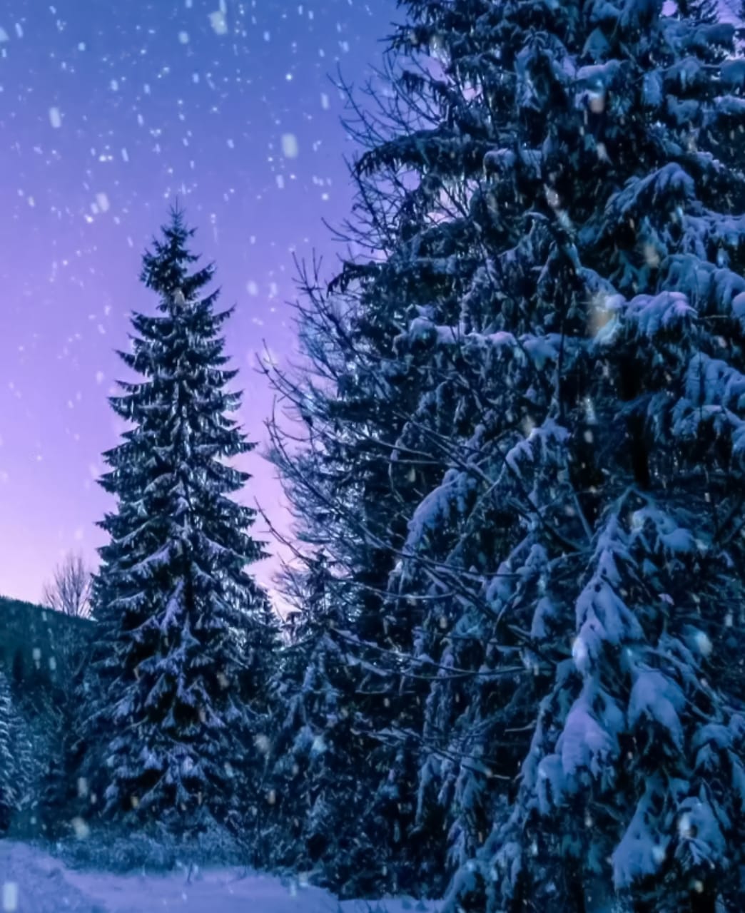 Snow Background image & Wallpaper HD 4K