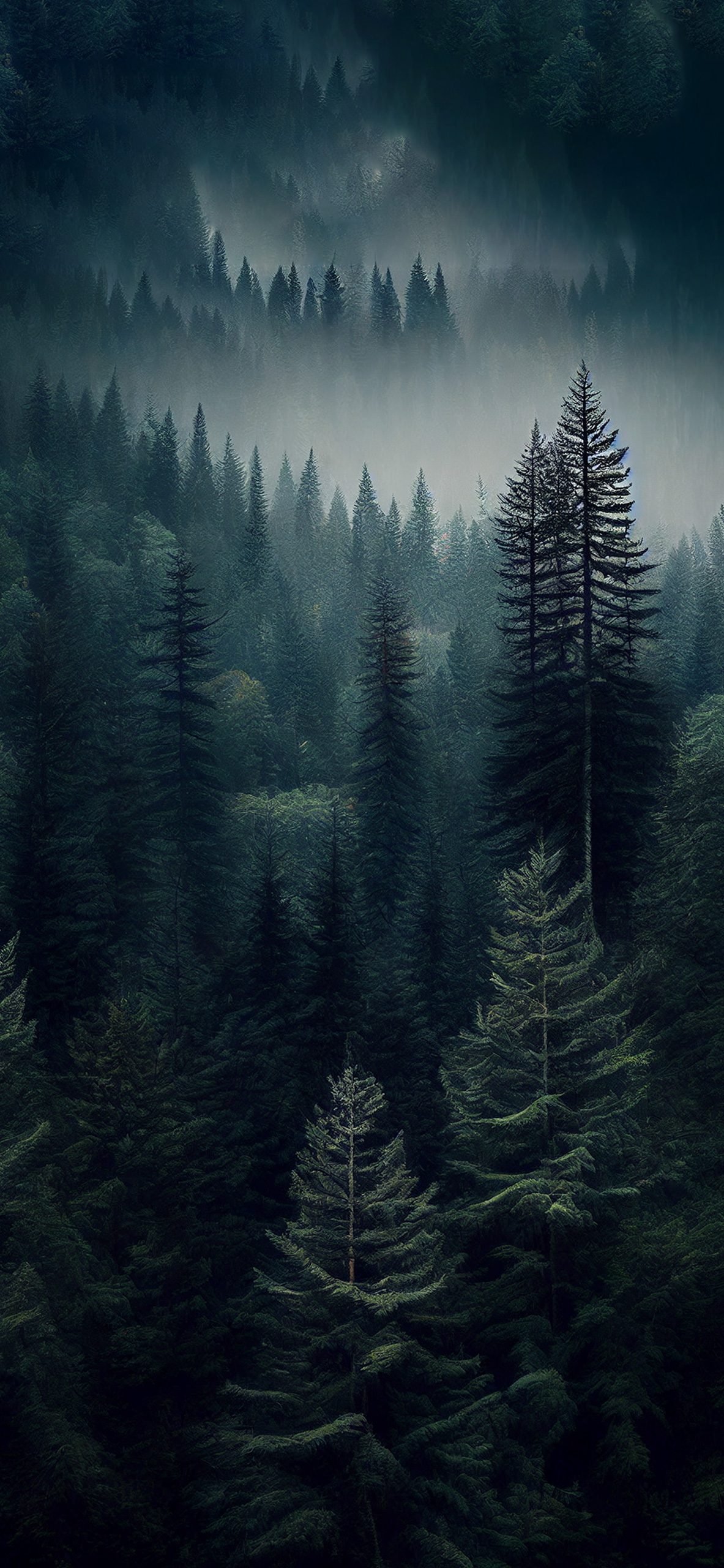 Coniferous Forest Aesthetic Wallpaper