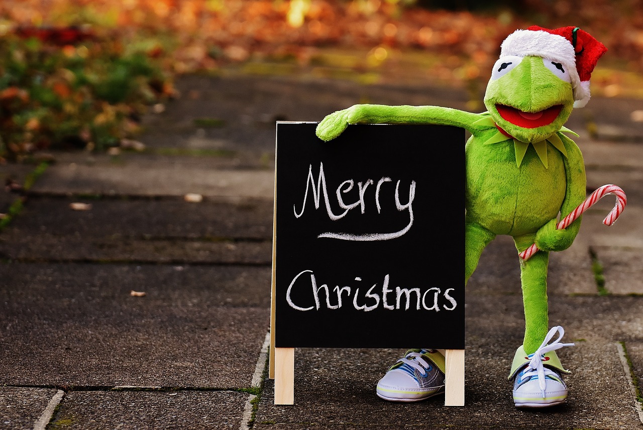 Kermit Frog Christmas Santa