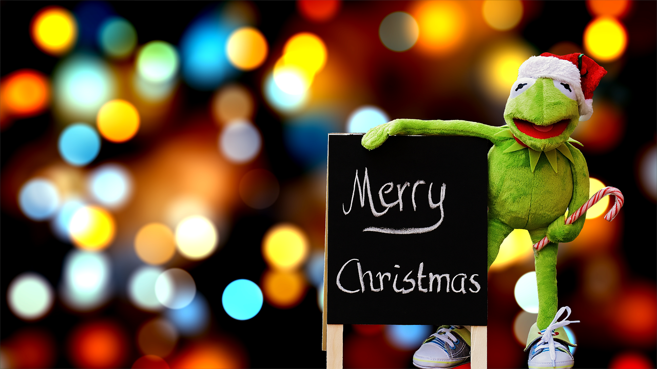 Kermit Frog Christmas Santa