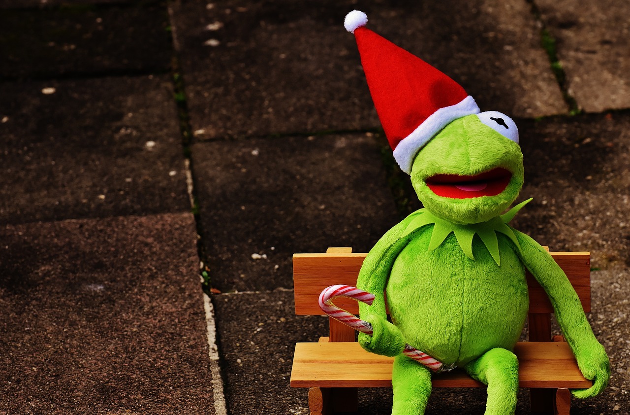 Kermit Frog Christmas Santa