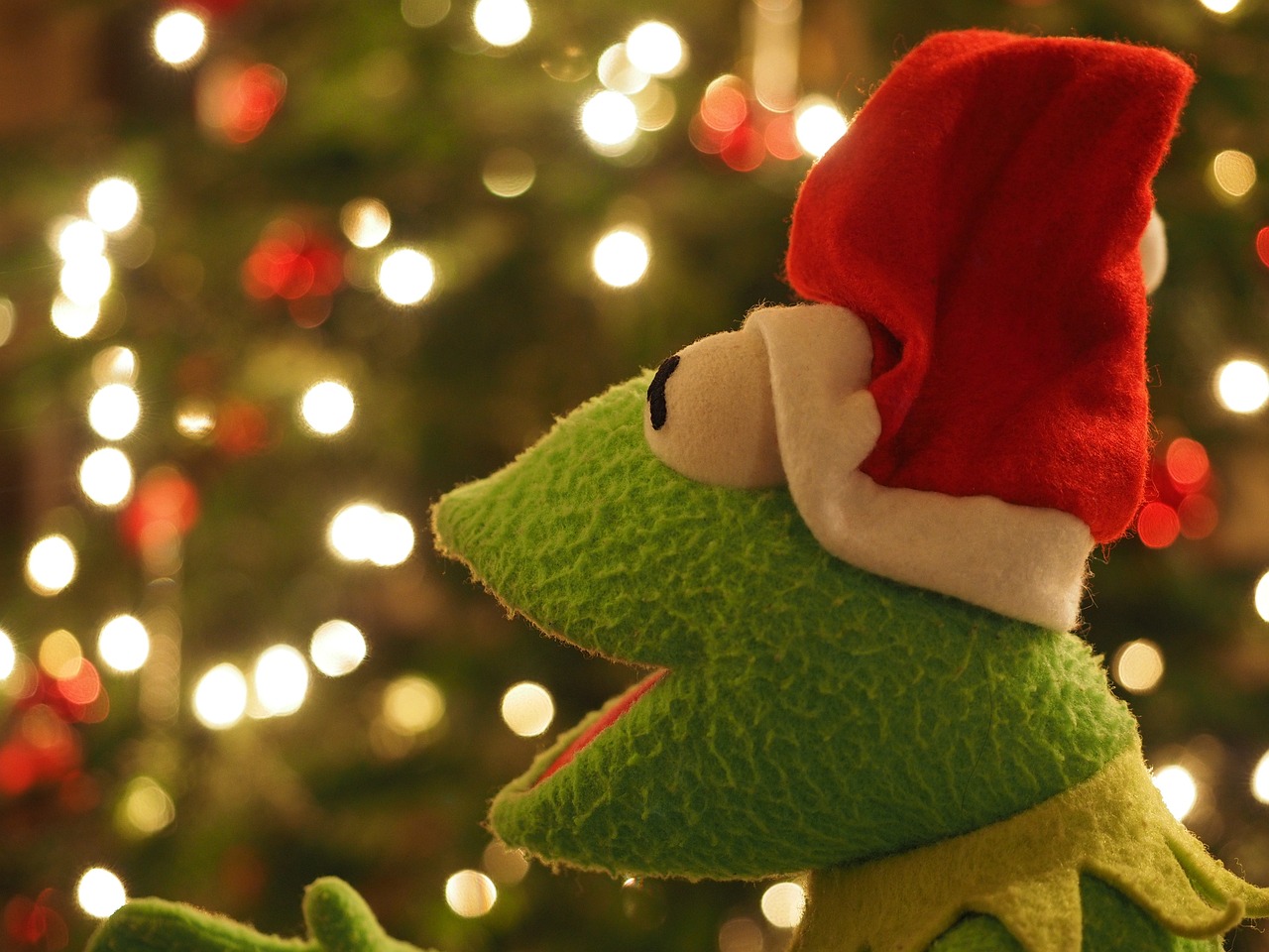 Kermit Frog Christmas