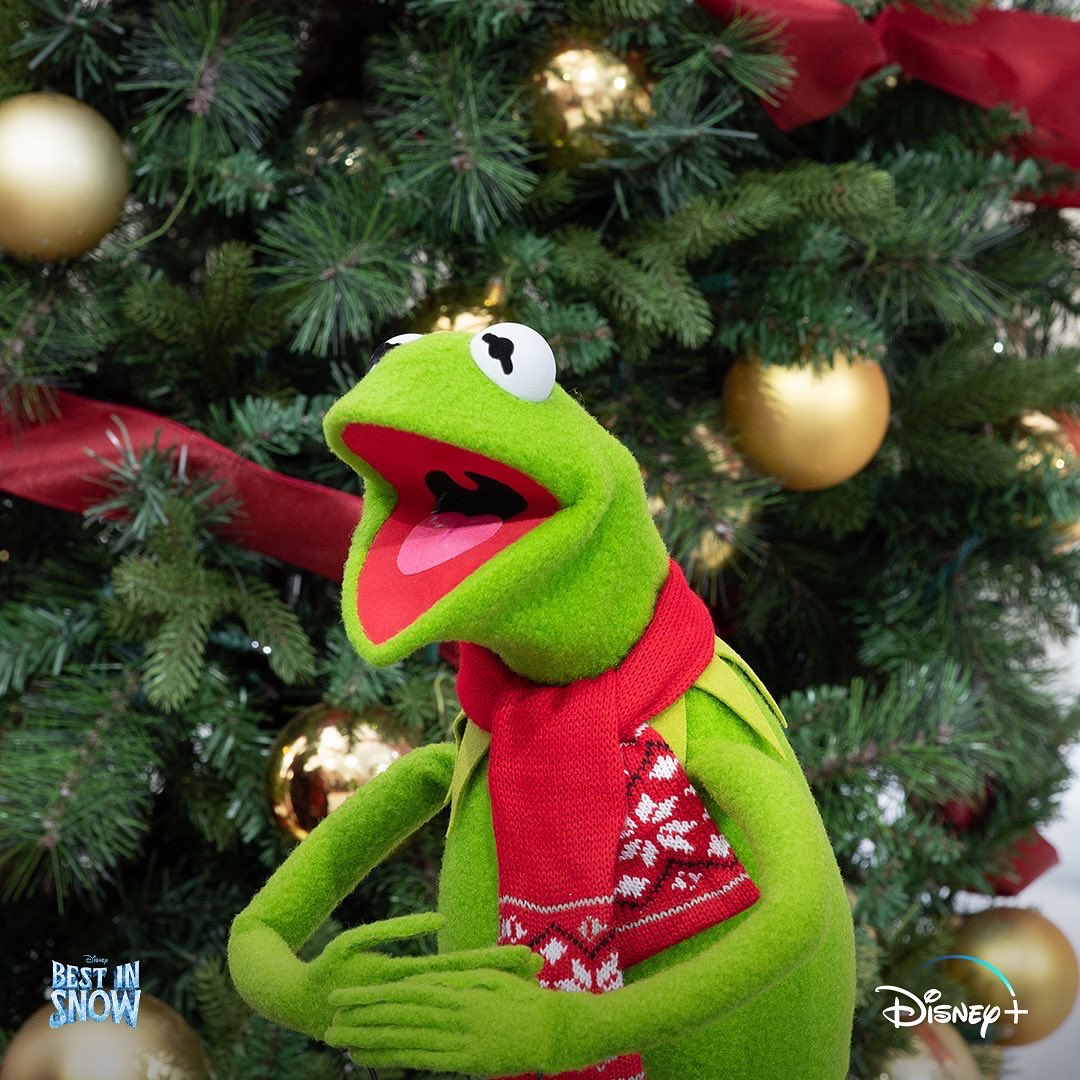 Disney+ reminding us that there may be 38 days until Christmas but only one day until #BestInSnow