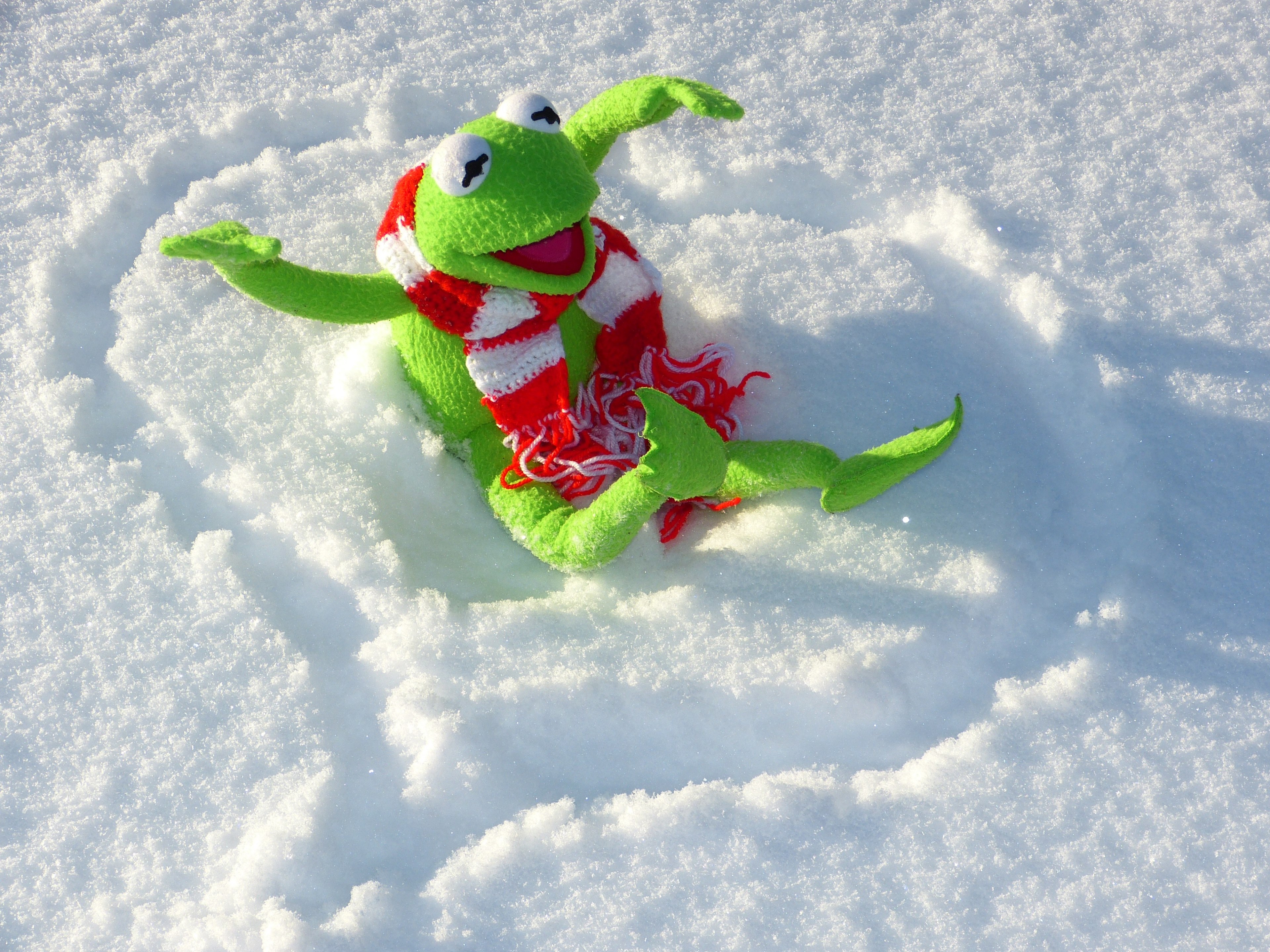 kermit frog fun snow winter cold 4k HD Wallpaper