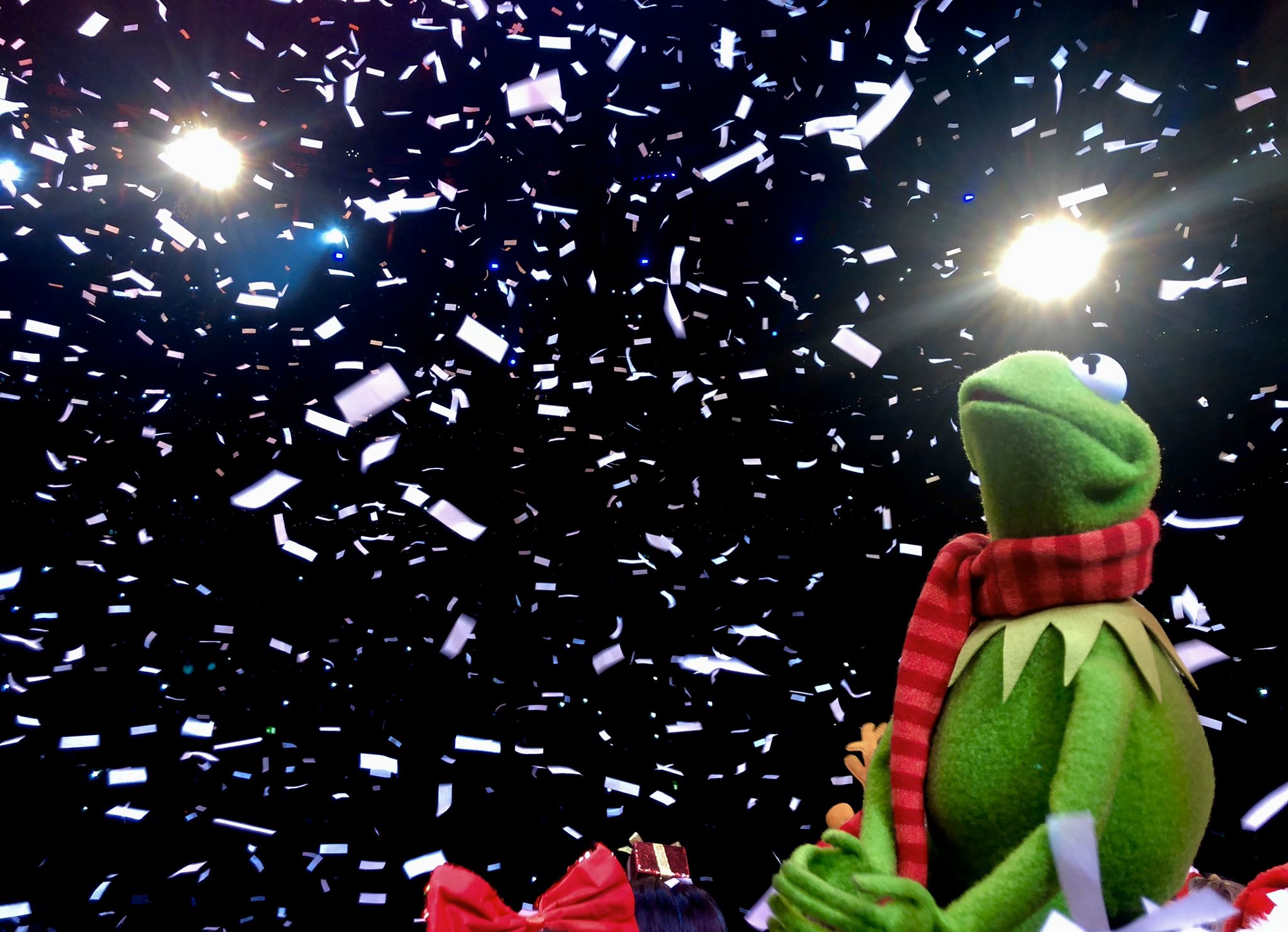 Kermit The Frog Ho, London! I Hopped Across The Pond For A Little Holiday Celebration At Royal Albert Hall. A Very, Merry Day Indeed!