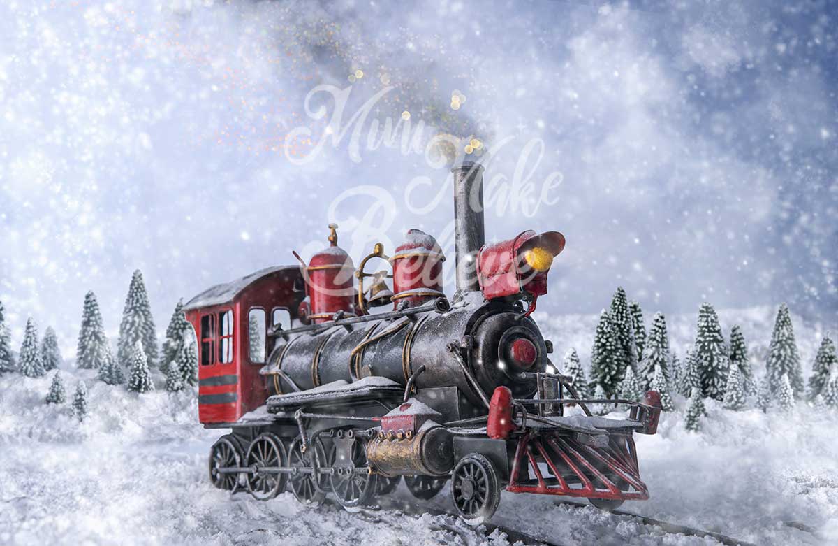 Kate Winter Train Backdrop for Photography
