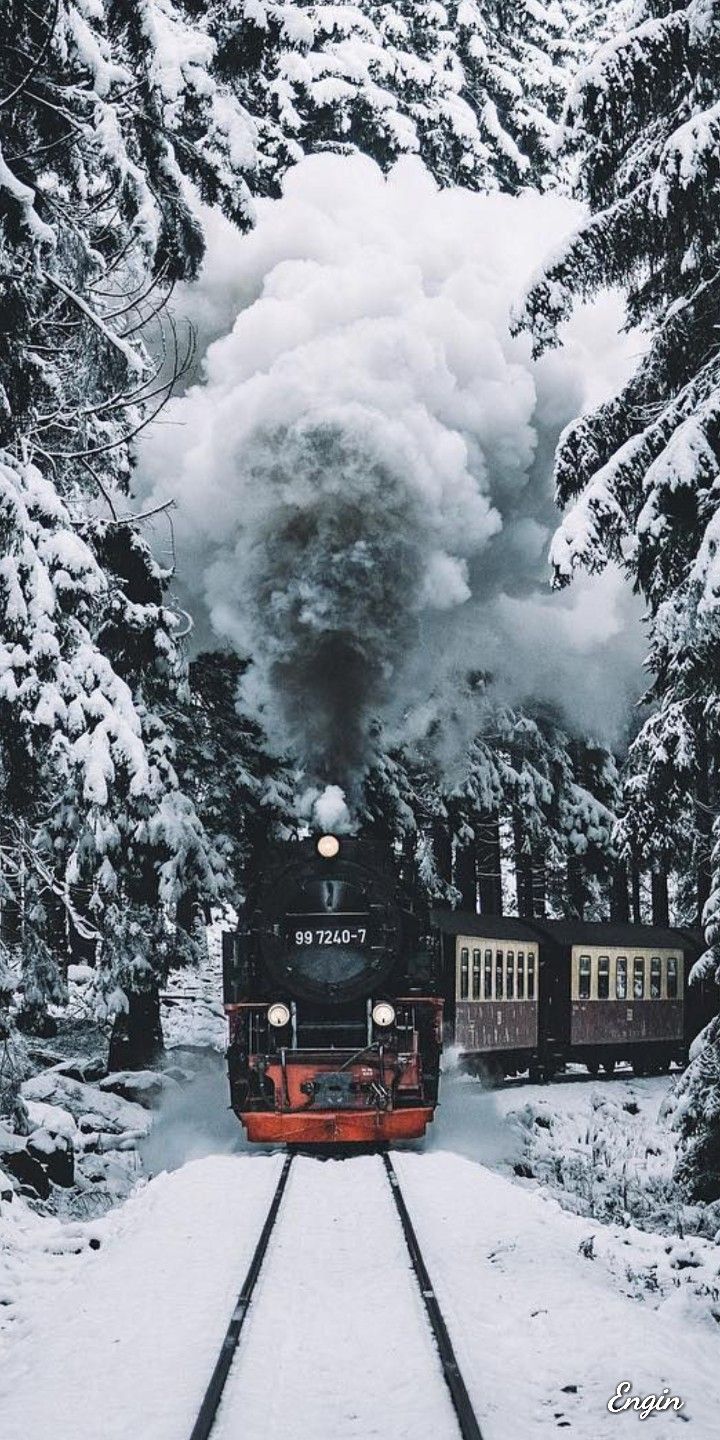 Tren. Winter scenery, Winter scenes, Winter picture
