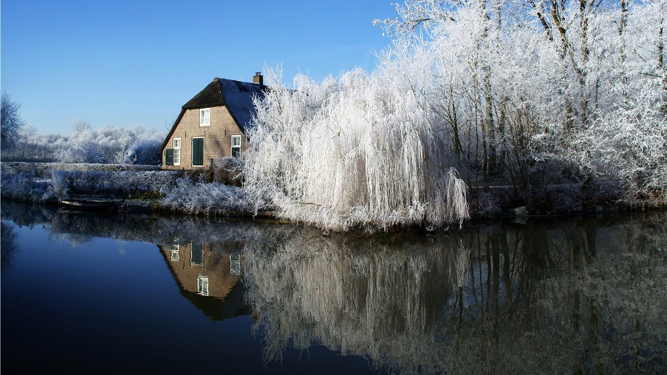 farmhouse and frosty trees