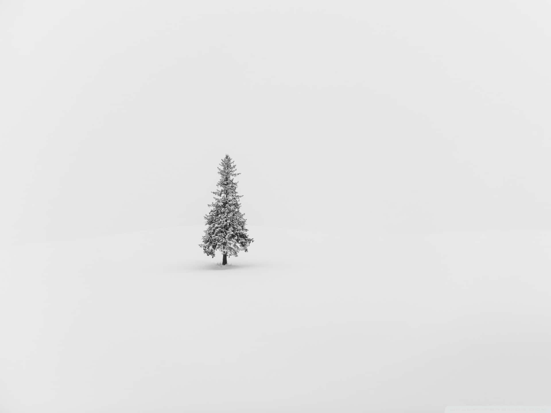 Minimalist Christmas Desktop Wallpaper