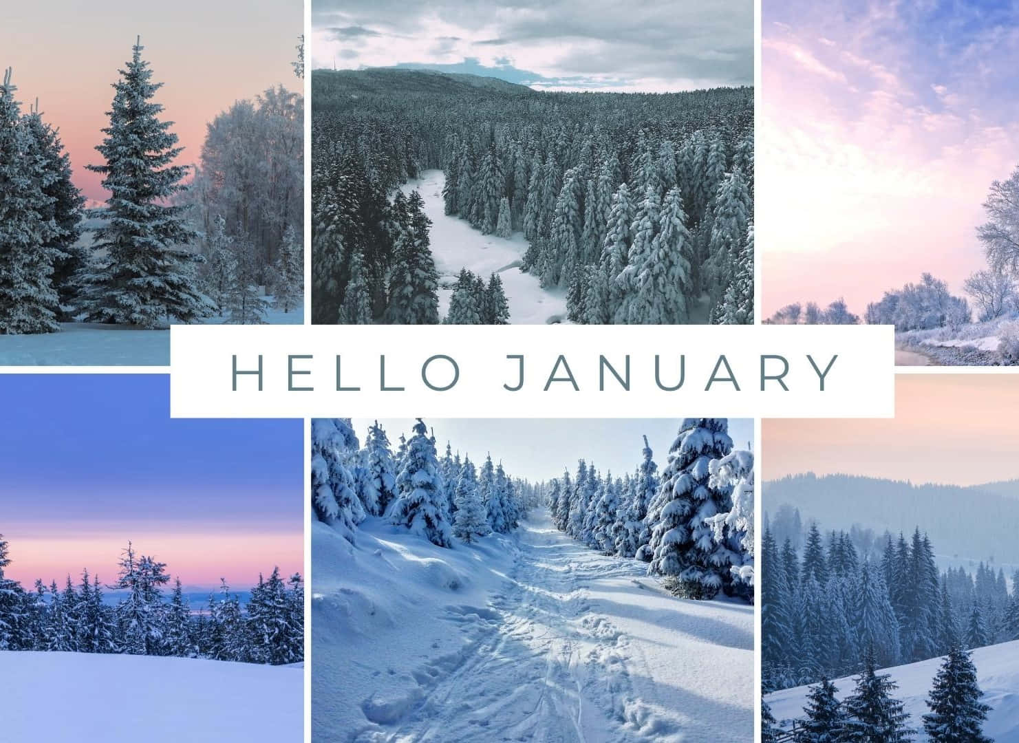 January Picture