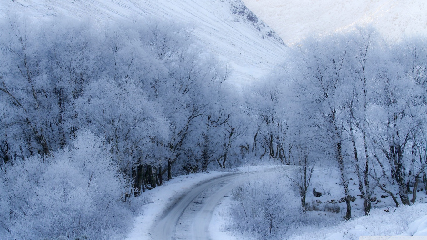 Winter Road Ultra HD Desktop Background Wallpaper for 4K UHD TV, Widescreen & UltraWide Desktop & Laptop, Tablet
