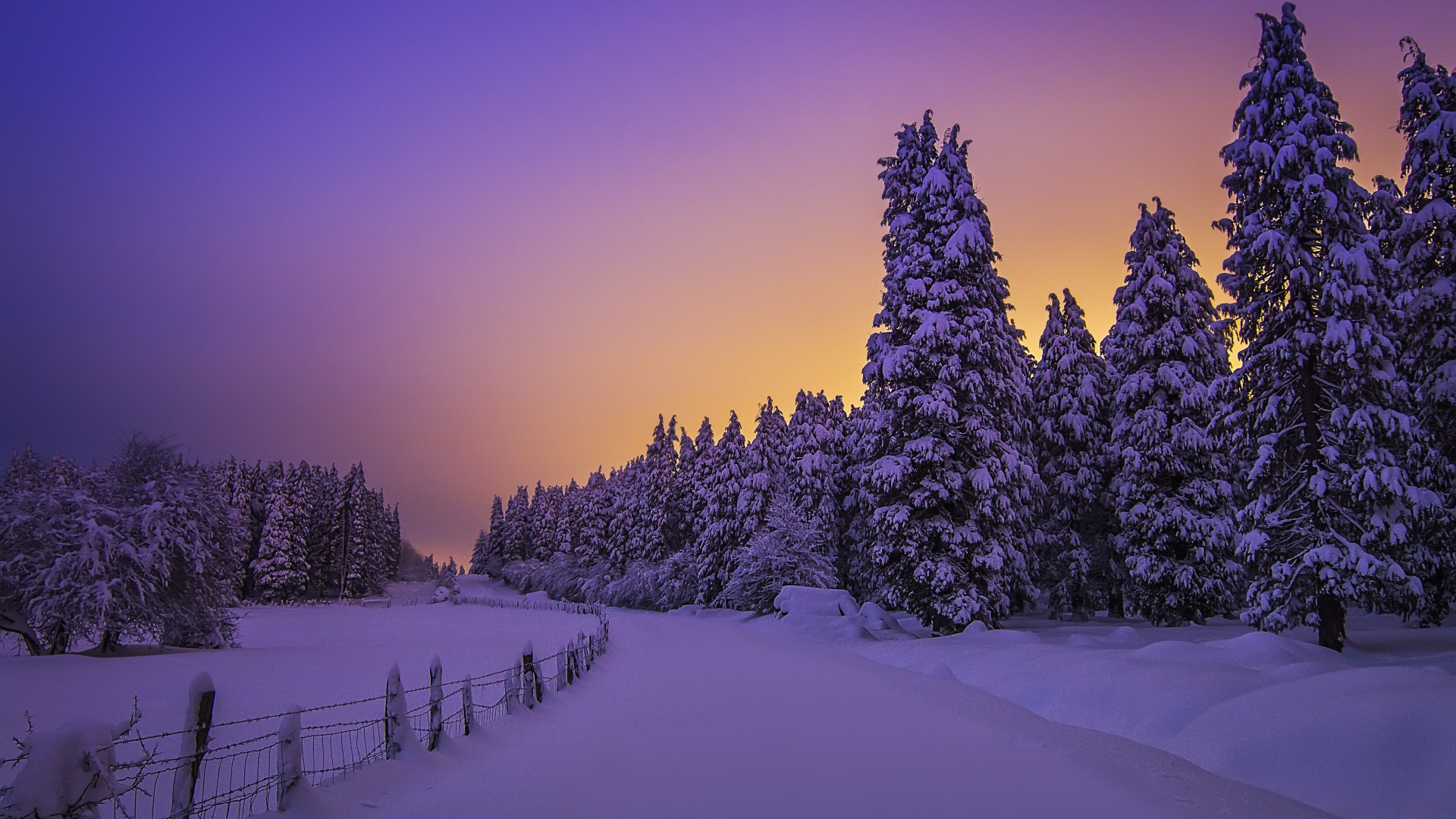 Landscape Wallpaper 4K, Purple sky