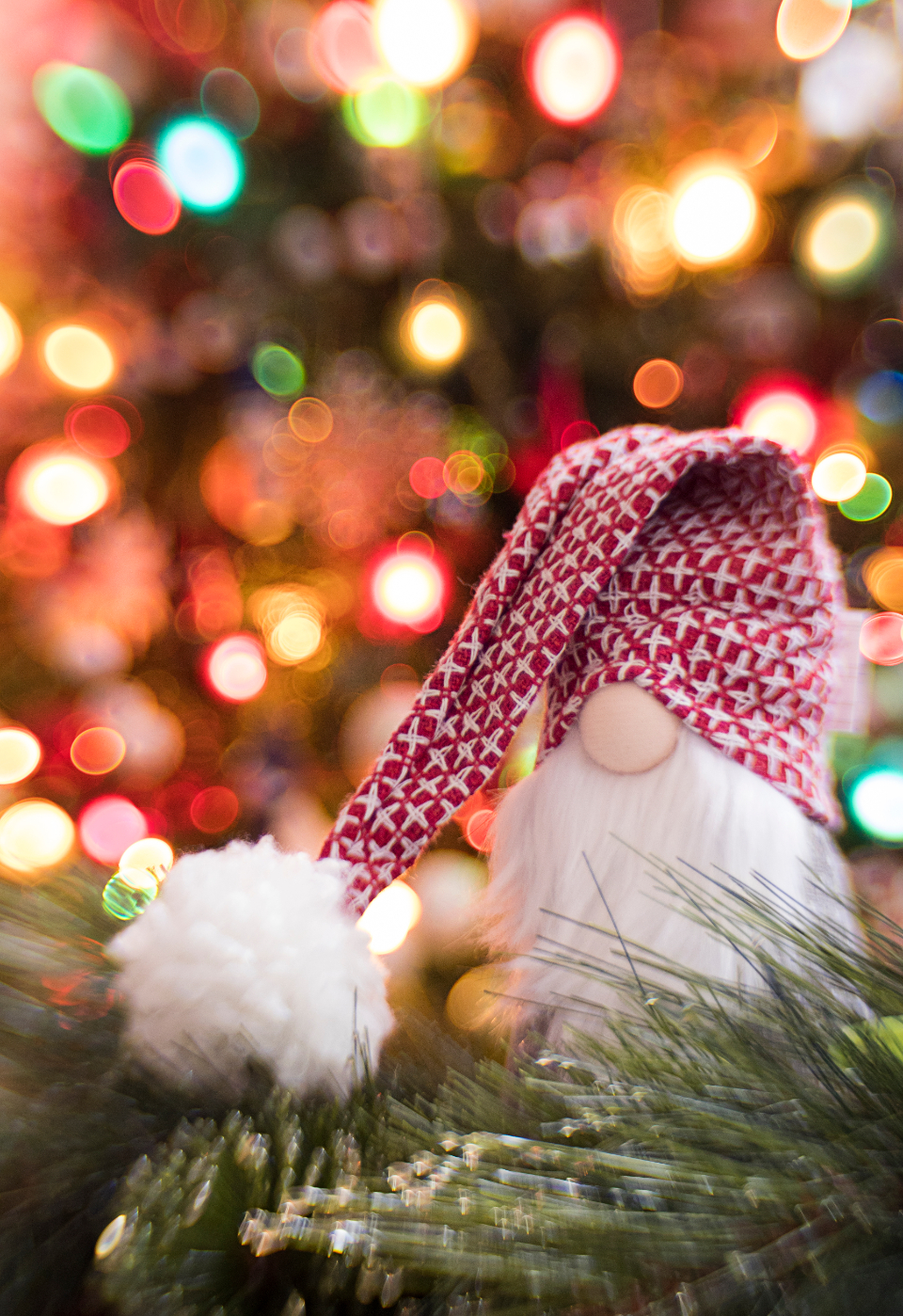 Christmas Gnome Free Stock CC0 Photo