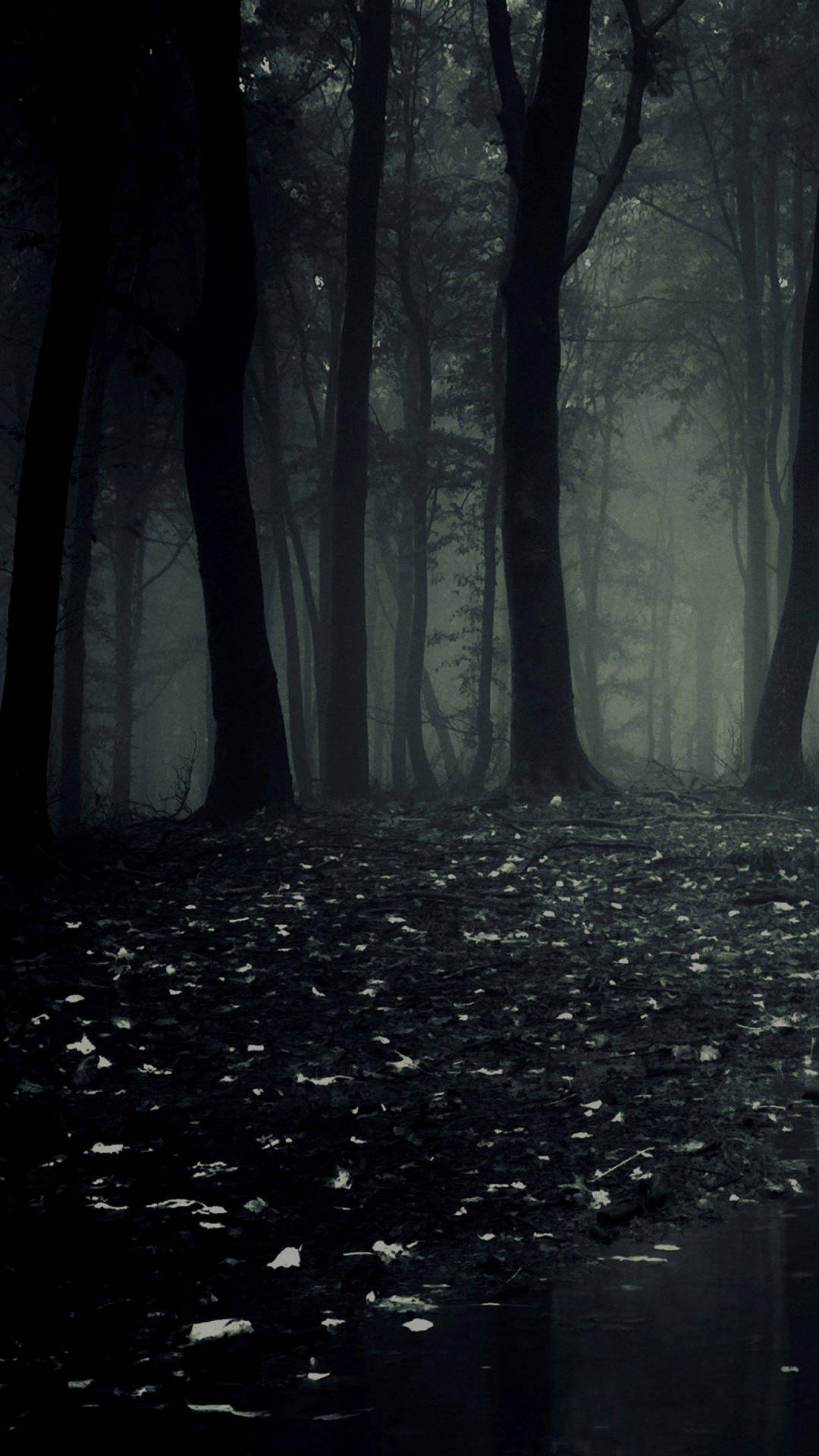 Download Dark Phone Scary Woods Wallpaper