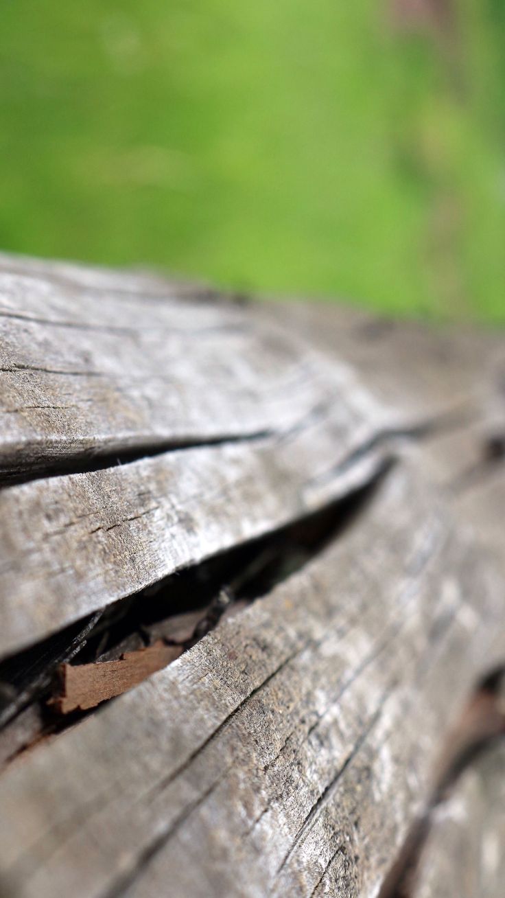 9:16 Phone. Phone wallpaper, Smartphone wallpaper, Wood