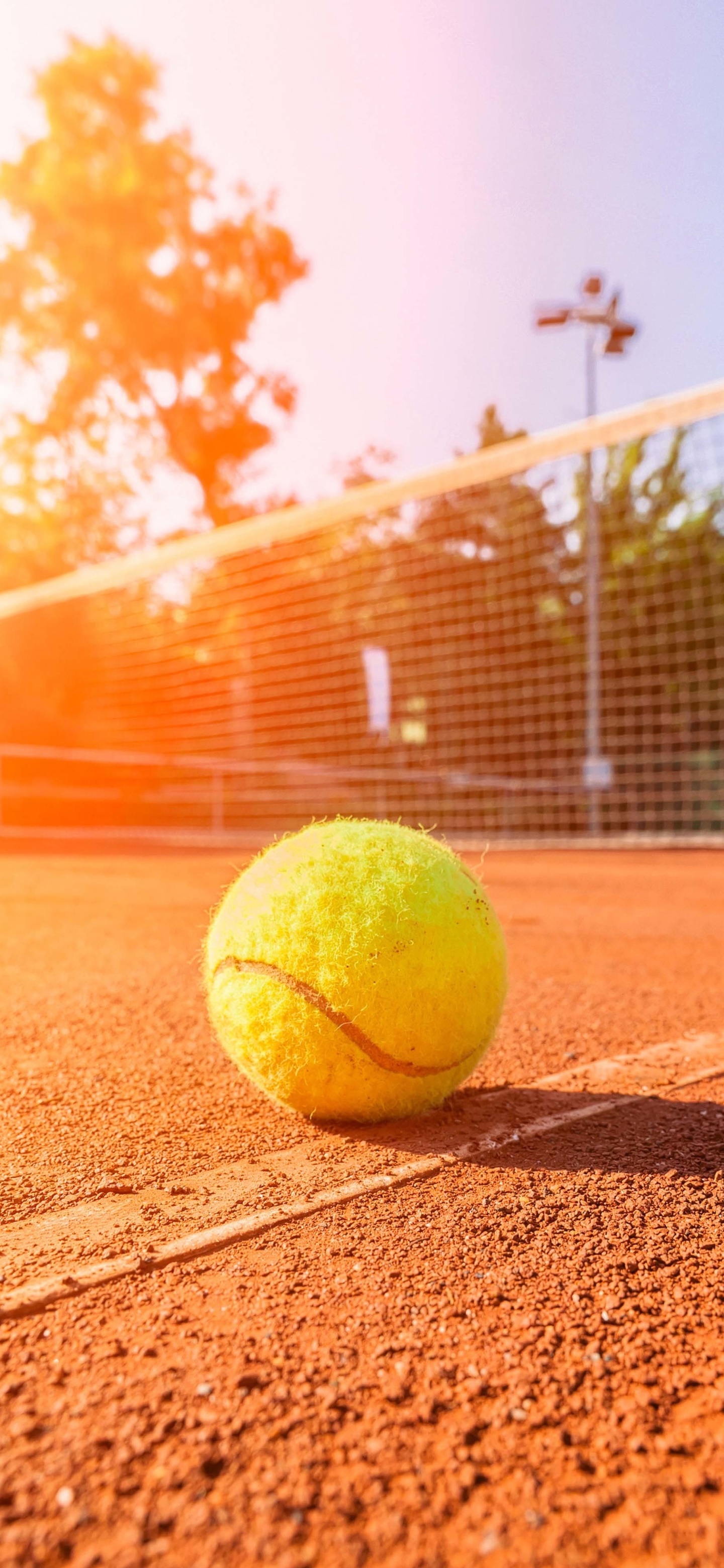 Sports Tennis, Ball, 1440x3120 Phone HD Wallpaper