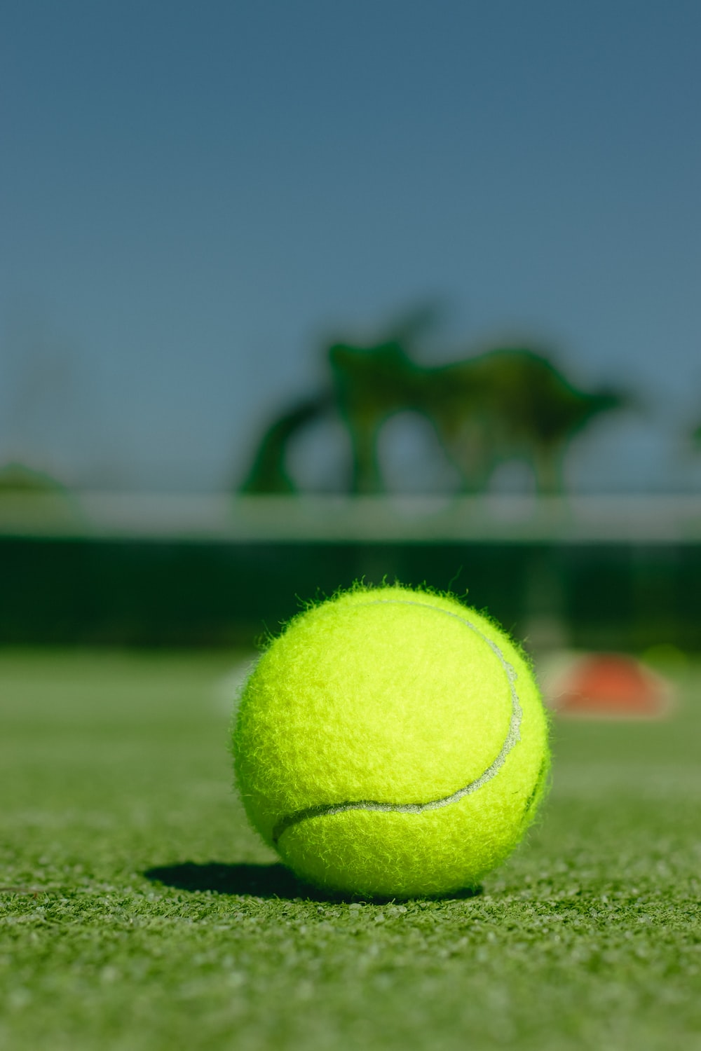 Green tennis ball on green grass field during daytime photo