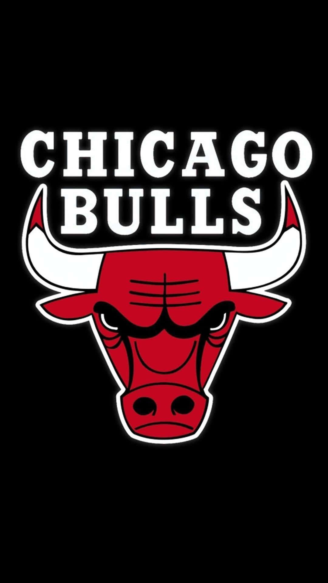 Download Chicago Bulls Logo Phone Wallpaper