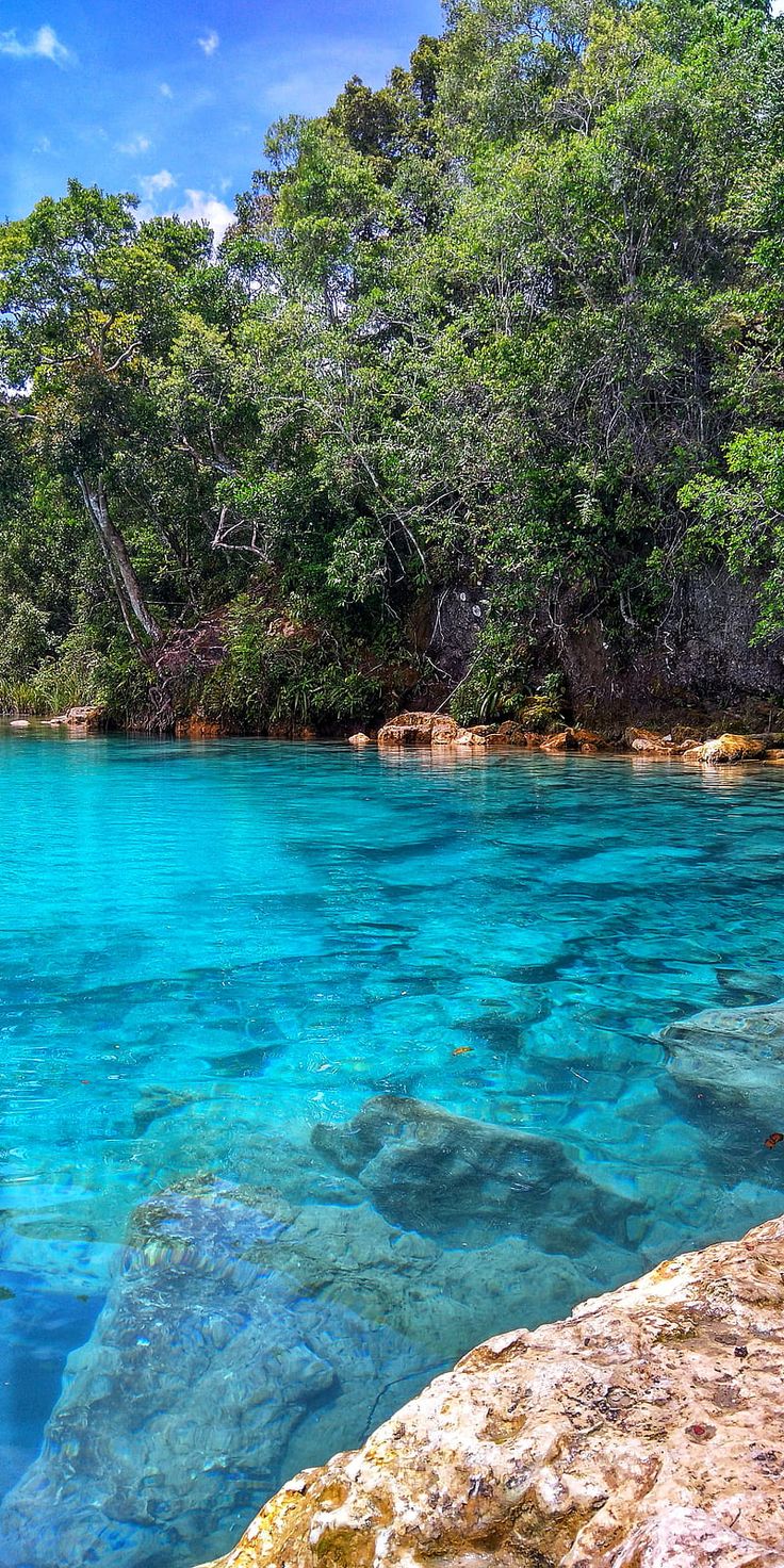 Clear Water, android, indonesia, iphone, island, landscape, nature, oneplus, papua, samsung, HD phone wallpaper. HD phone wallpaper, Phone wallpaper, Landscape