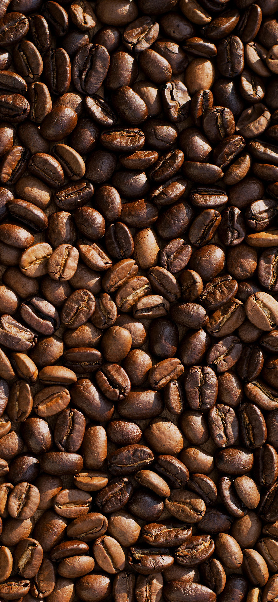 iPhone X wallpaper. coffee food brown eat nature drink life cafe