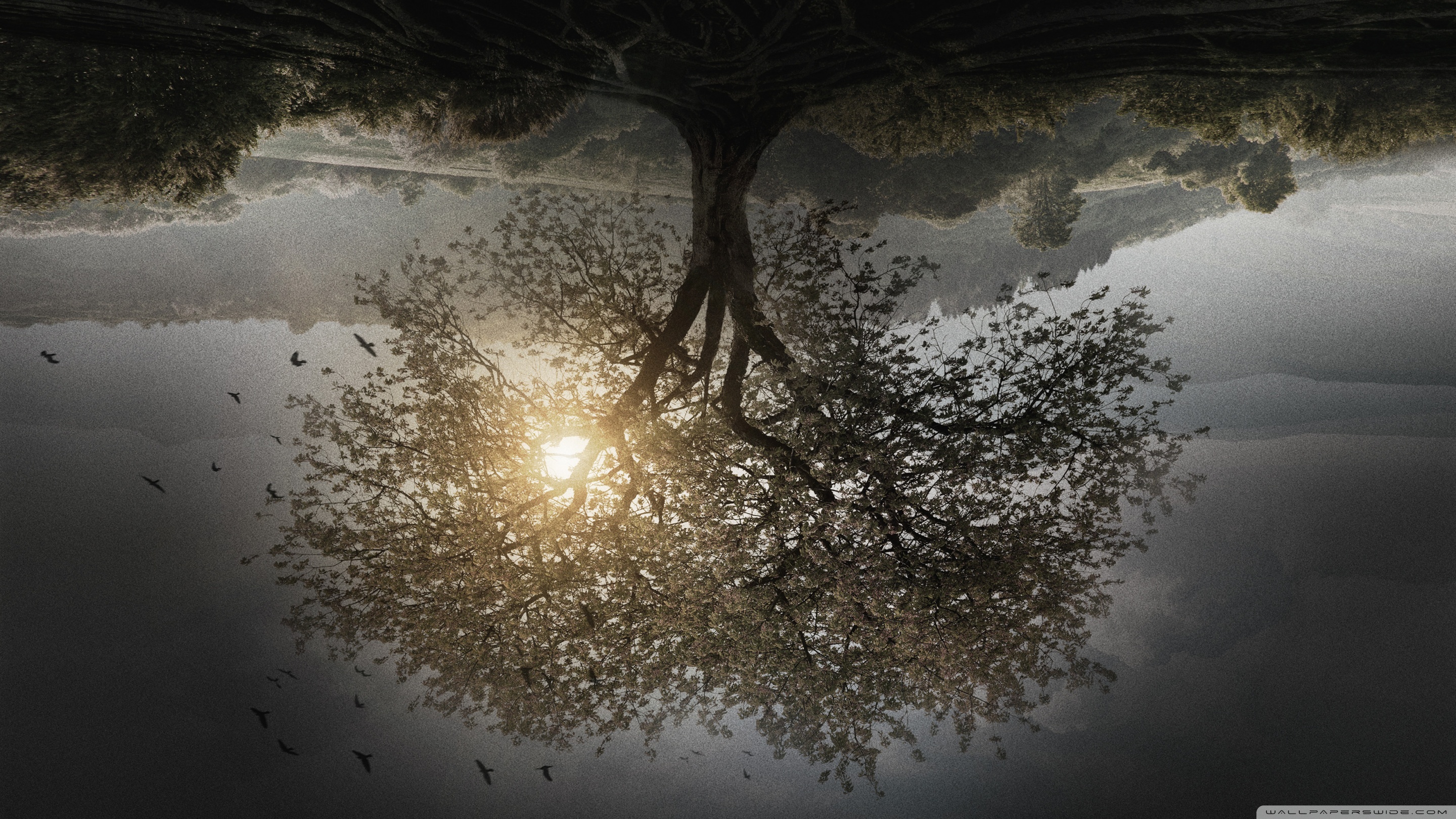 The Divergent Series Insurgent Tree