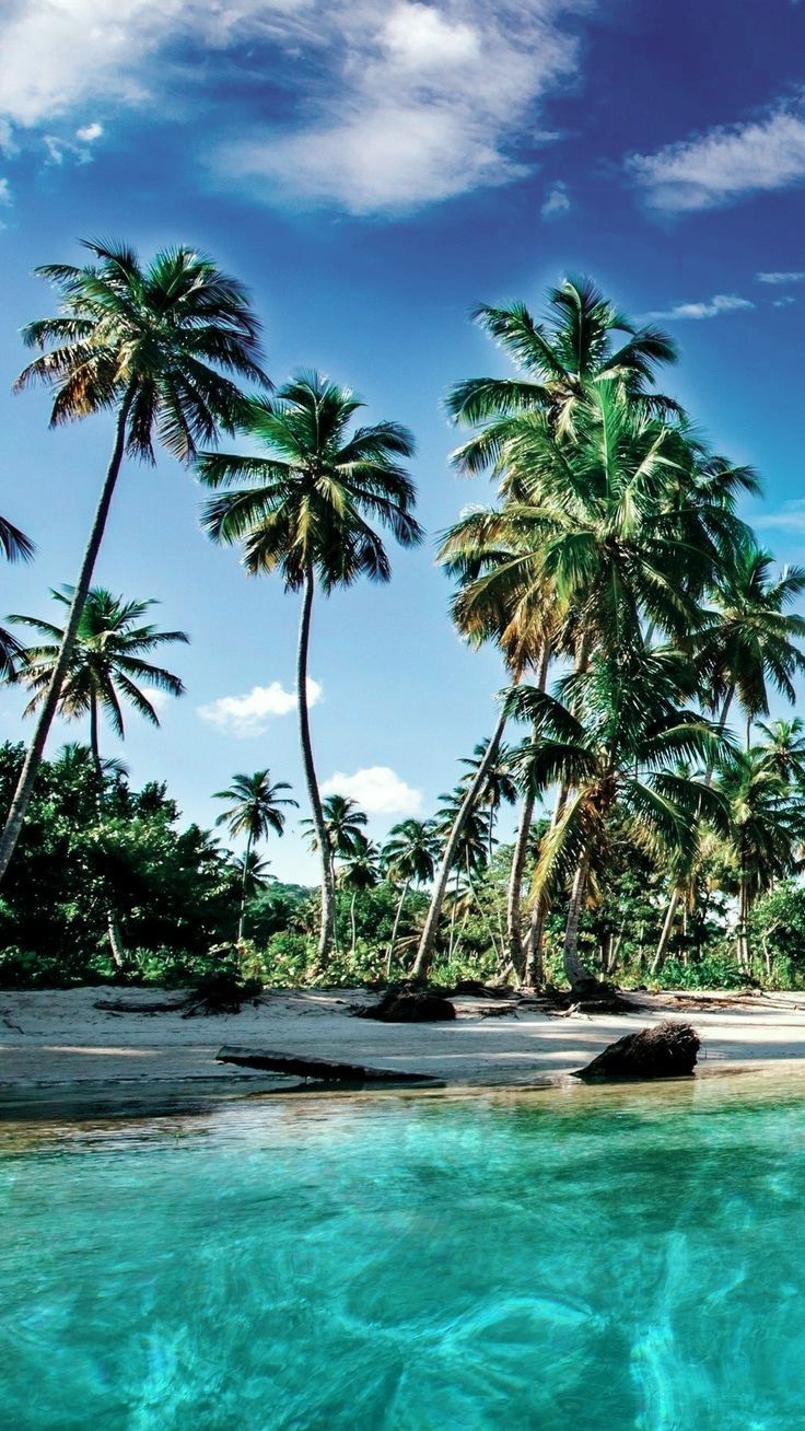 Maldives Beach Wallpaper. Maldives wallpaper, Beach wallpaper, Maldives beach