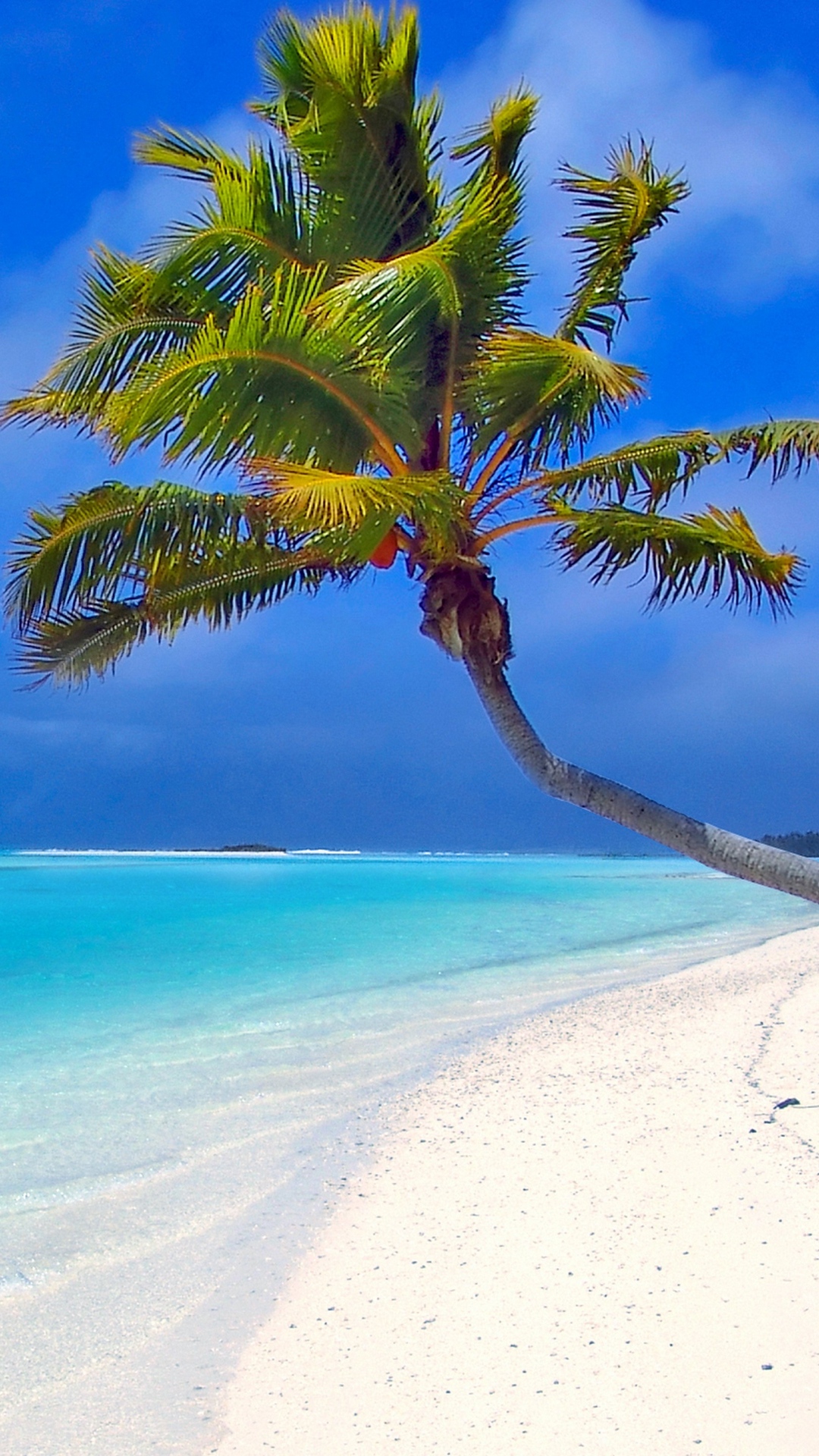 Maldives Beach Palm Trees Sand Sea Wallpaper 1080– X1920 Out Wallpaper