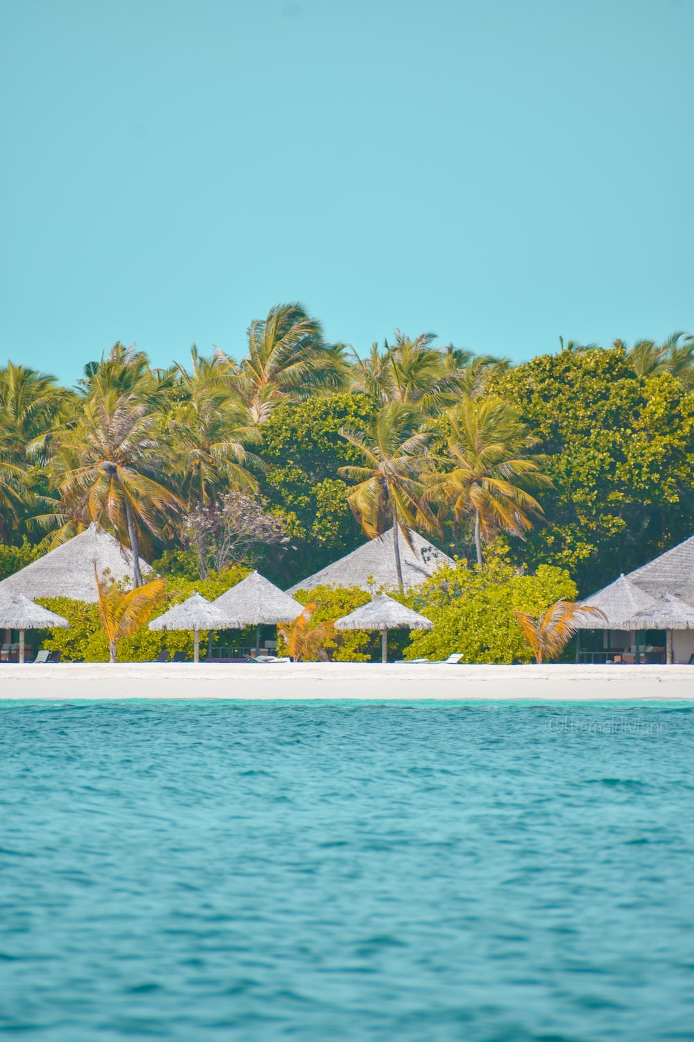 A beach with palm trees and huts photo