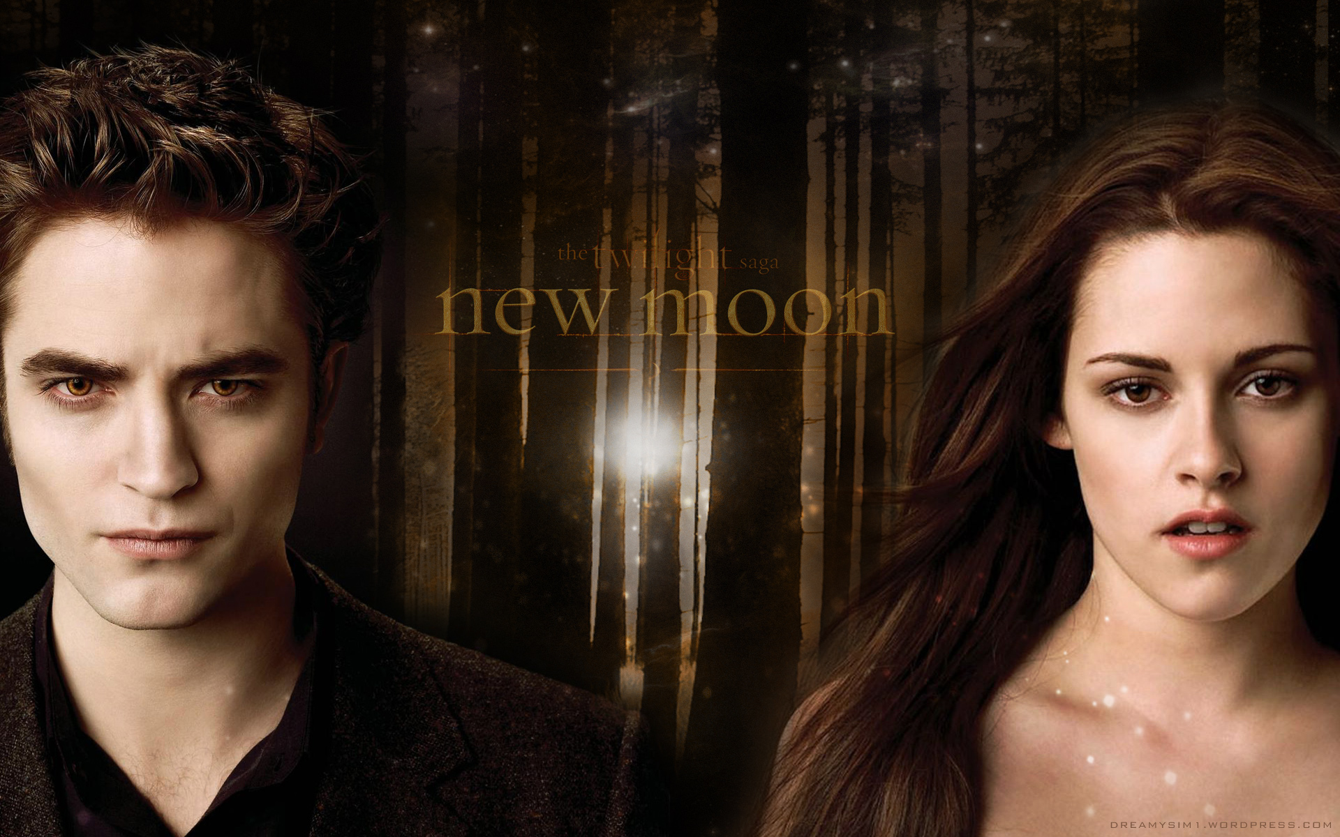 Gorgeous New Moon background with Robert Pattinson. Thinking of Rob
