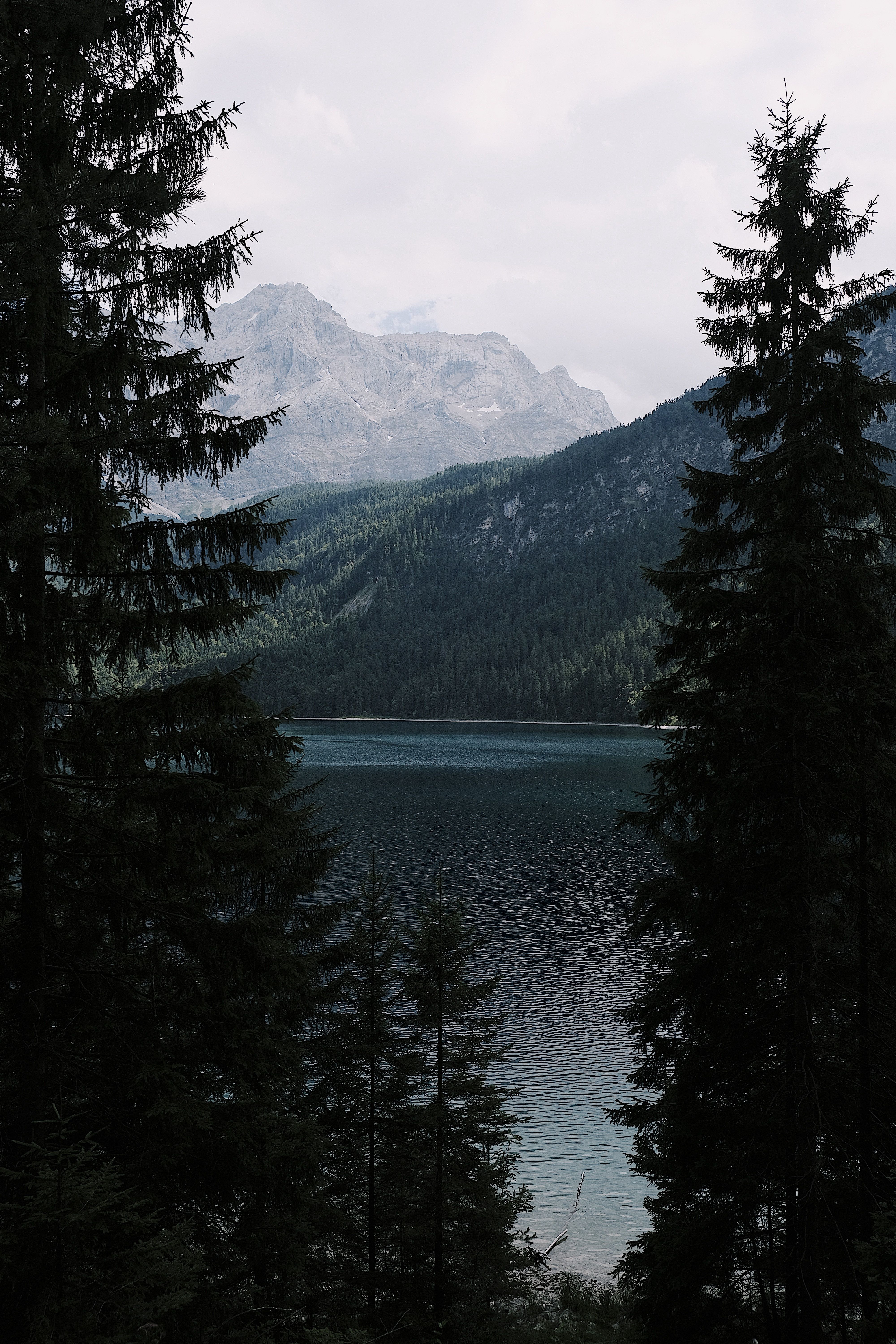 HD Wallpaper View through tall evergreen trees on a lake in the mountains - #Eibsee #Fir #Grainau #Cloud Photo. Landscape photography, Landscape, Nature photo