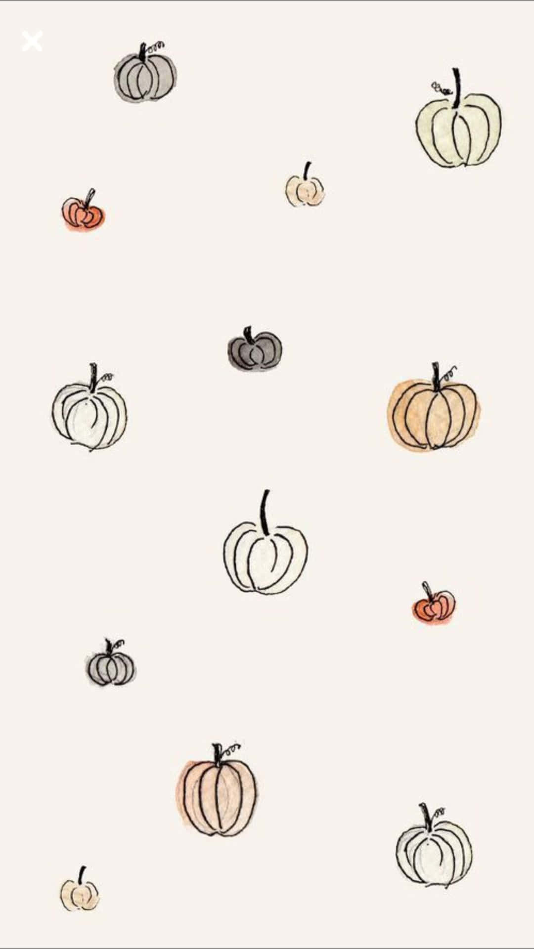 Download Drawing Of Pumpkins Fall Phone Background