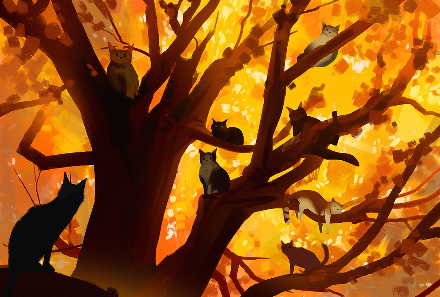 Cats animals nature trees autumn drawings wallpaperx970