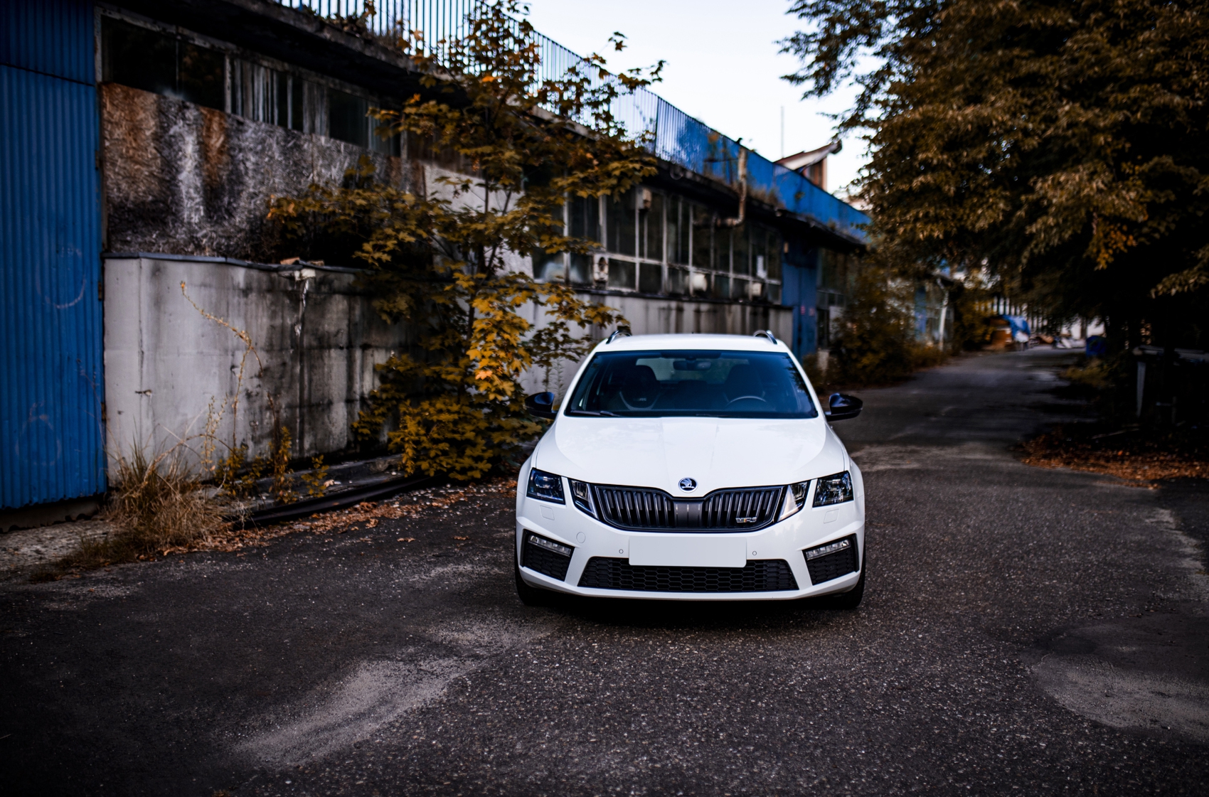 SKODA OCTAVIA RS