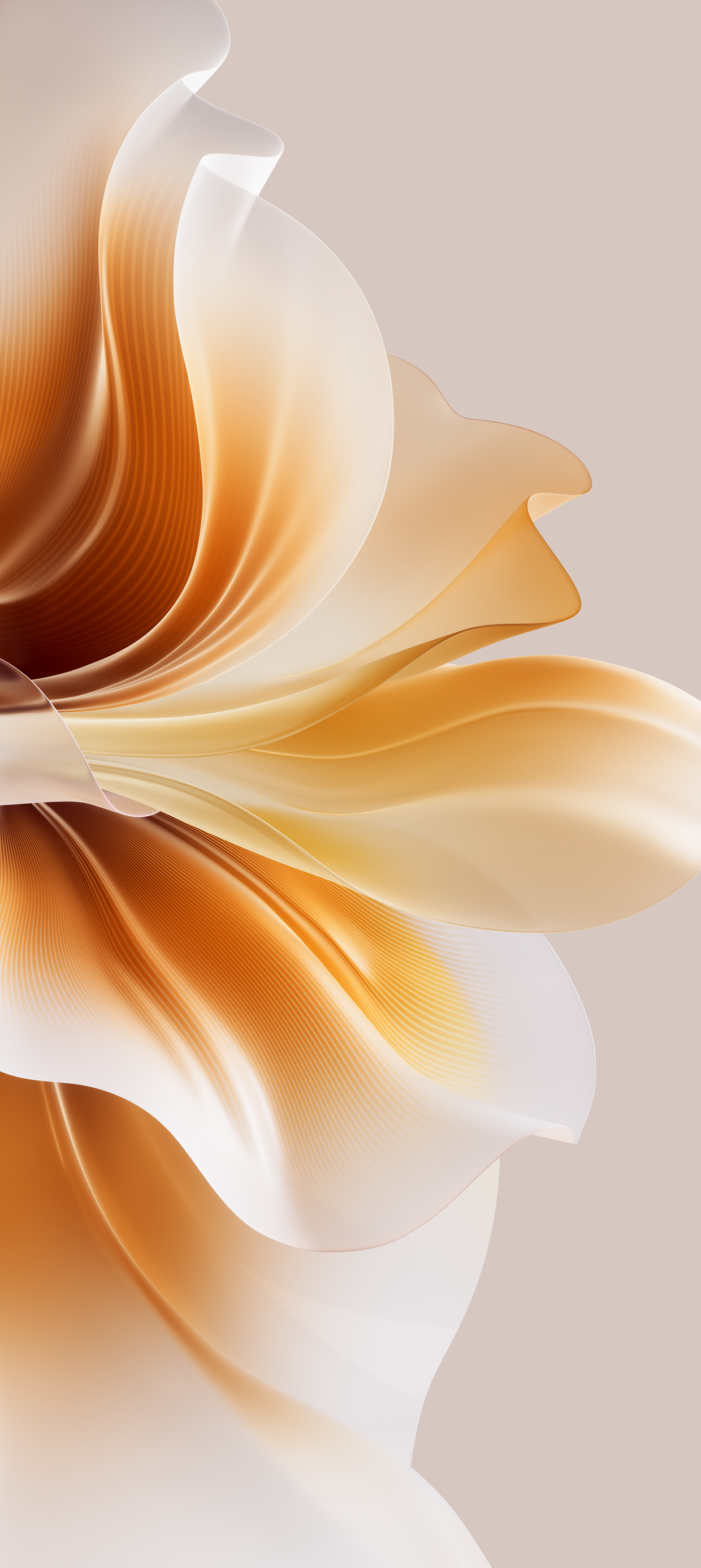 Oppo Reno 11 Pro wallpaper