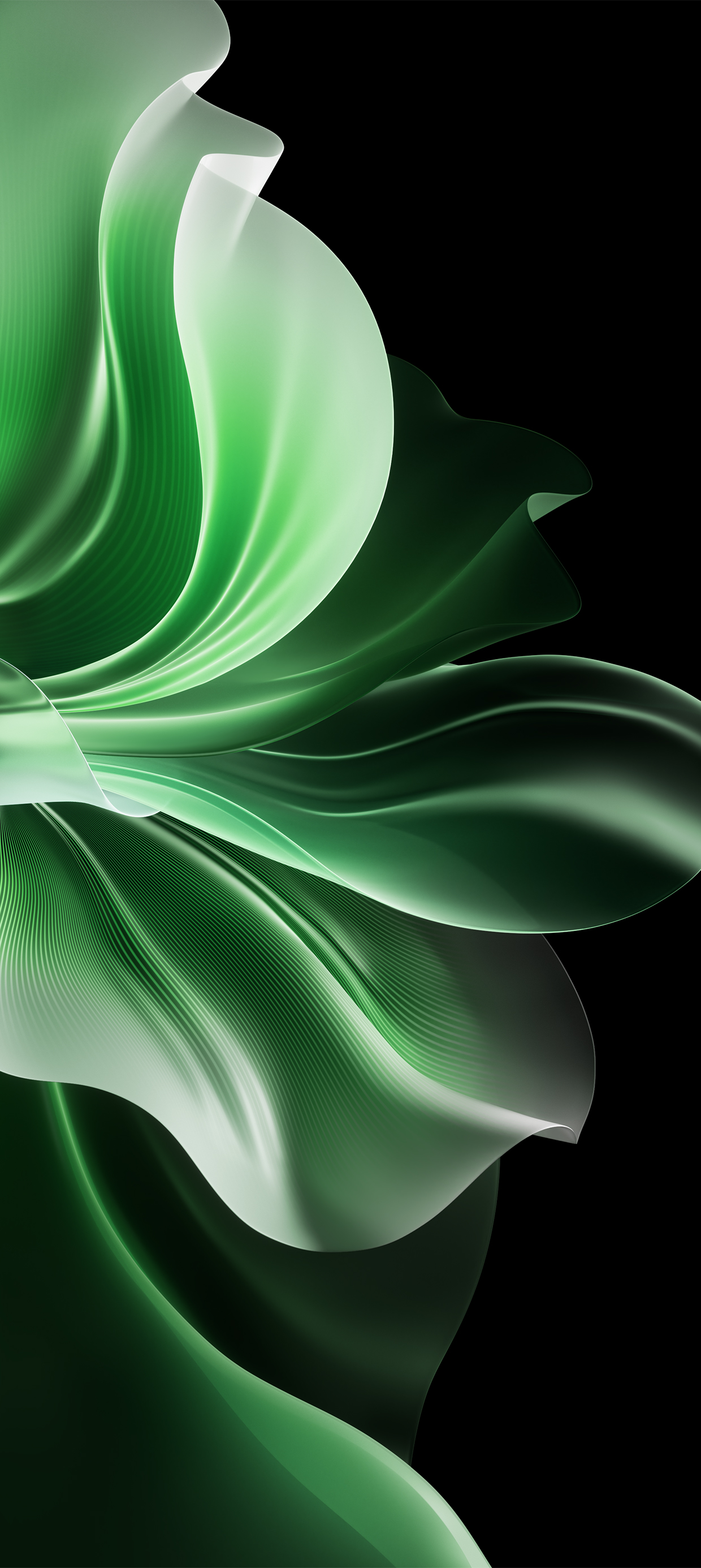 Oppo Reno 11 Pro wallpaper