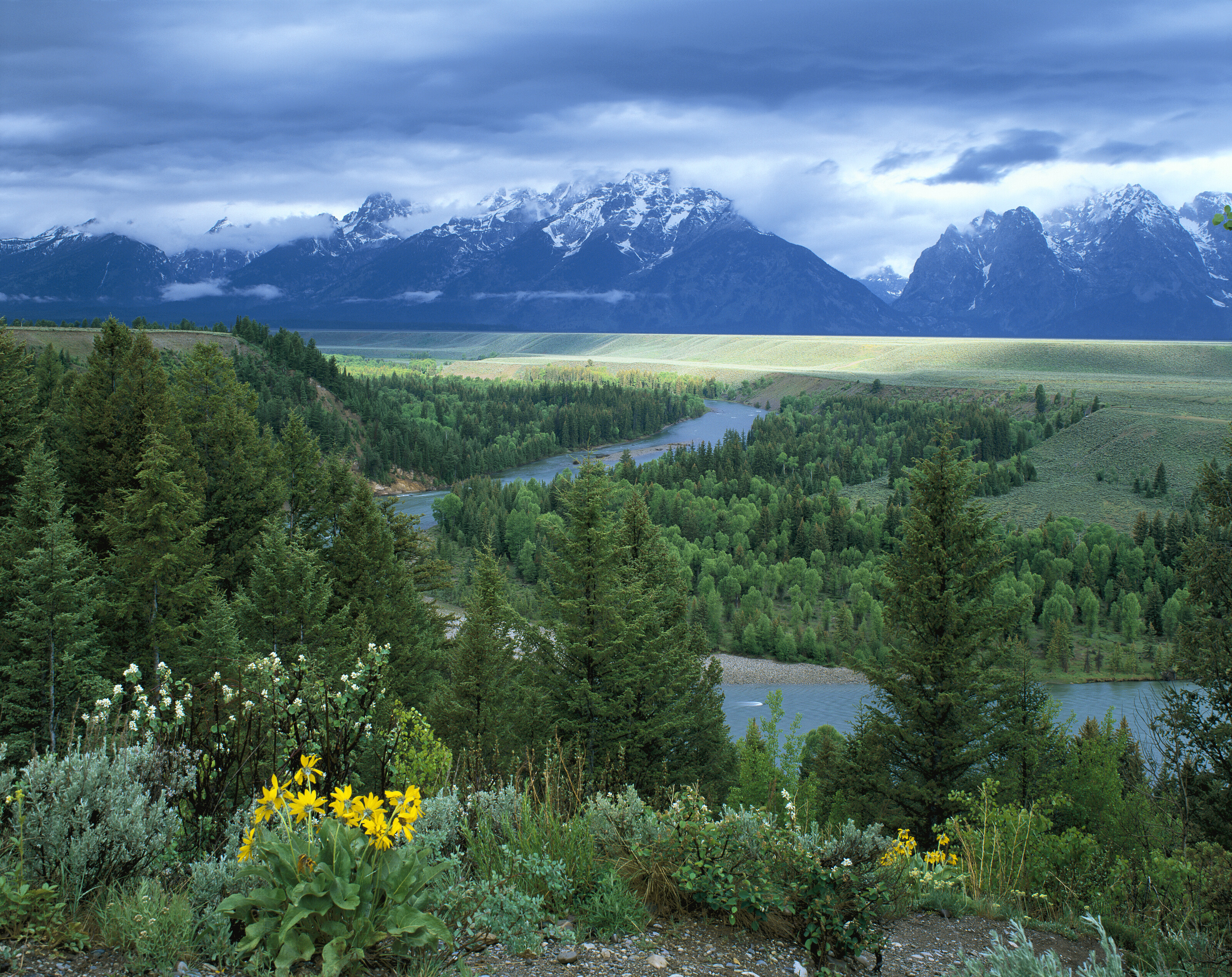 Snake River Outlook Wall Mural Your Way