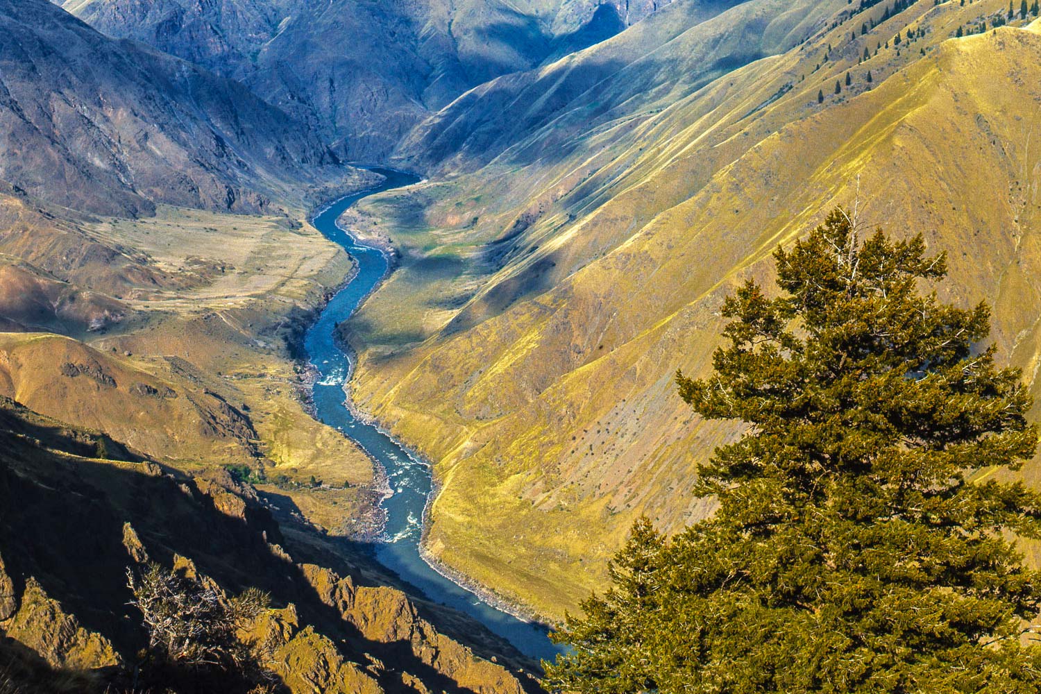A return to the Snake River